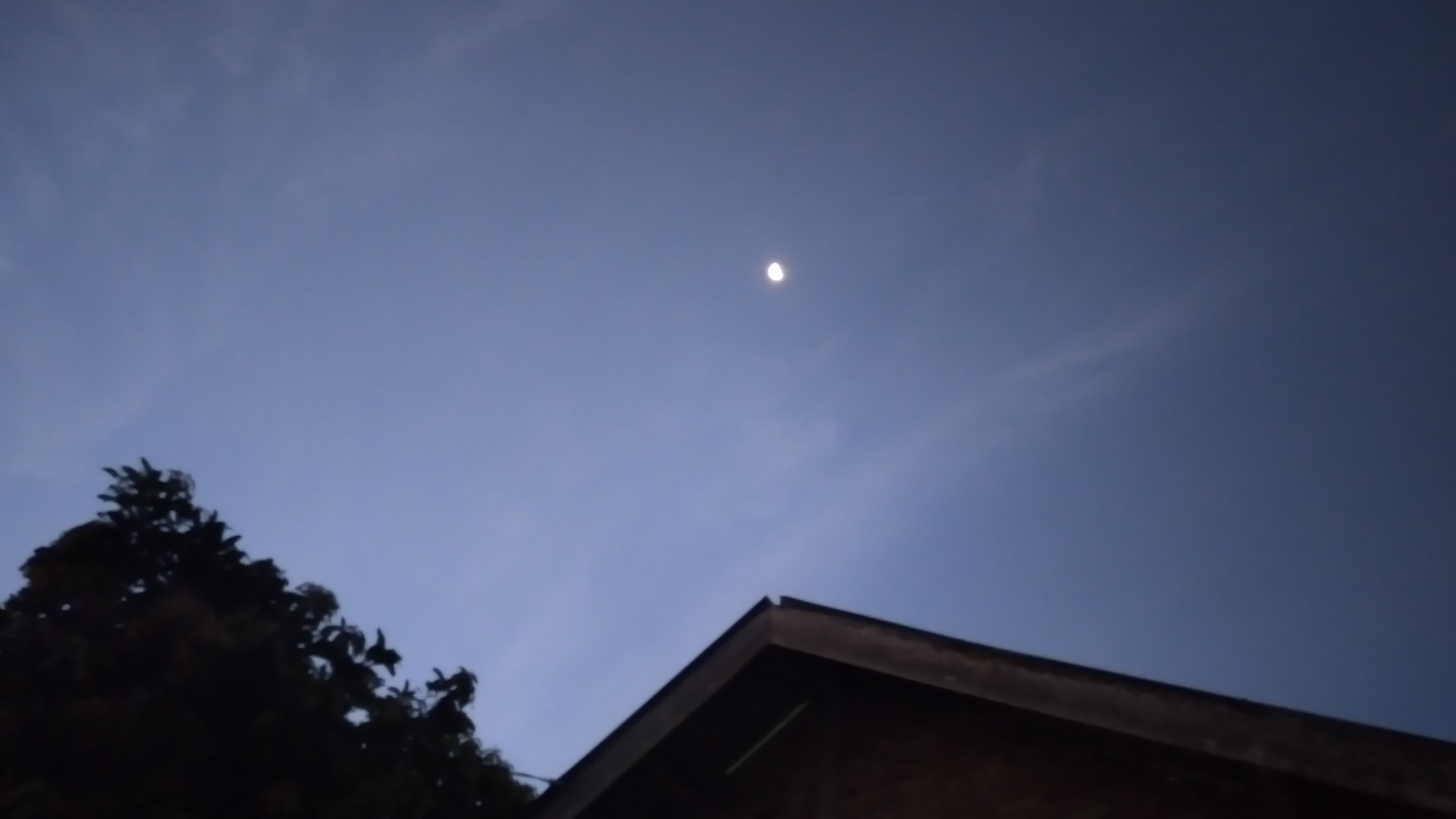 20240204_062726.jpg