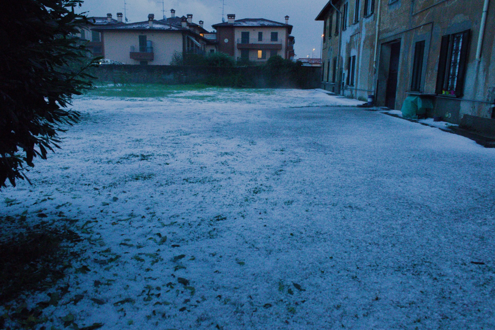 giardino.jpg