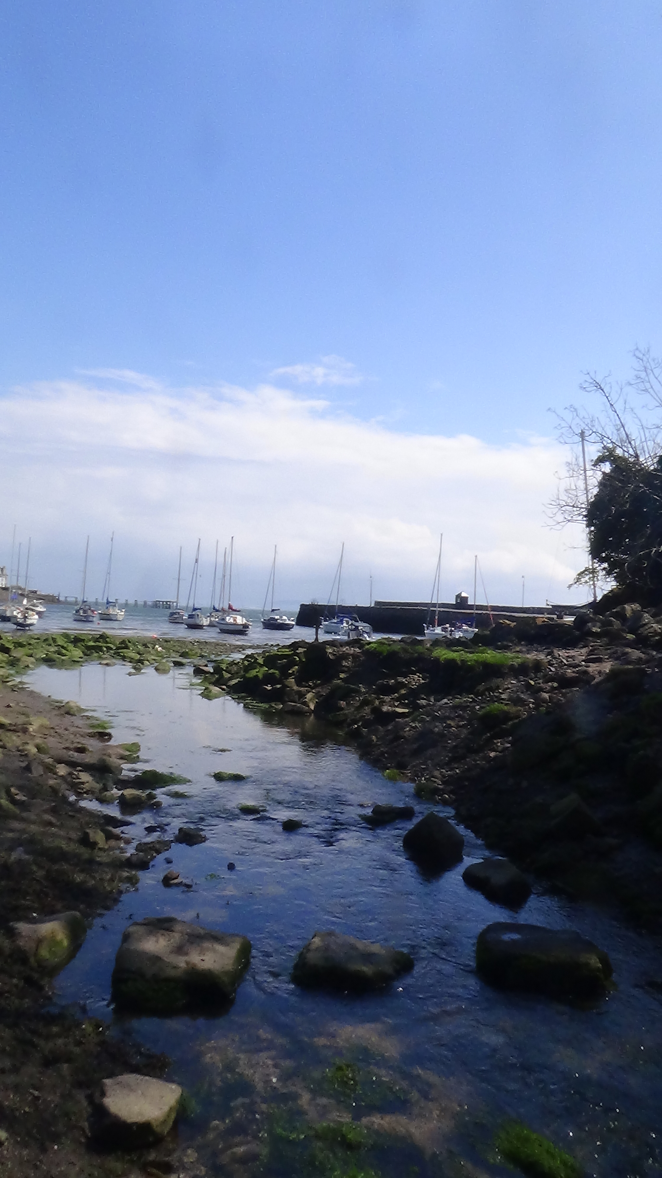 DSC02080.JPG