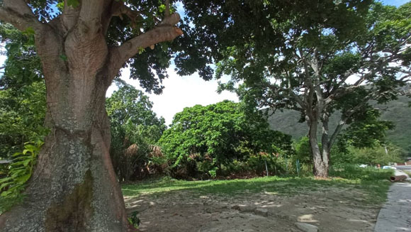 imagen2-580.jpg