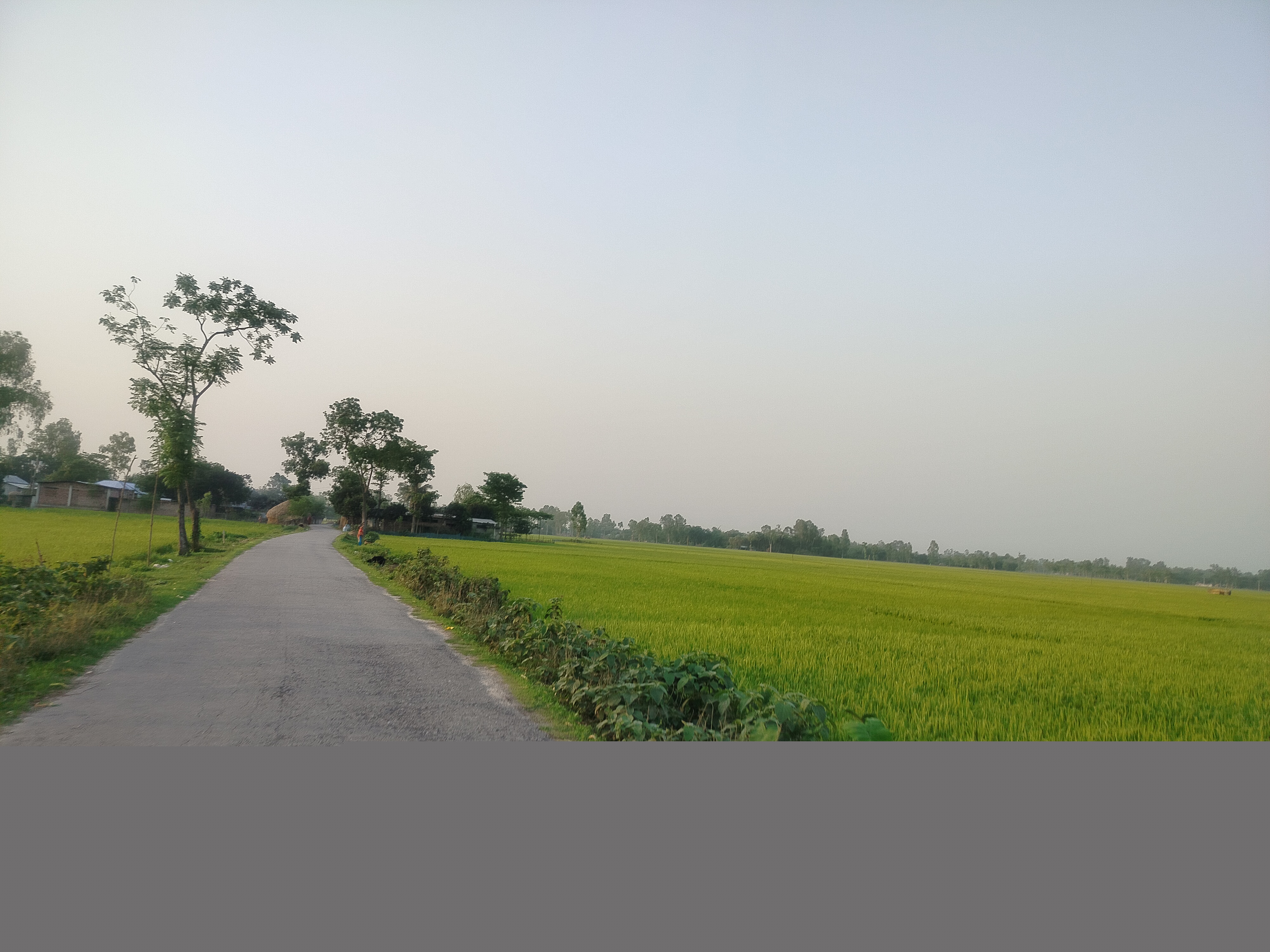 IMG20250423174440.jpg