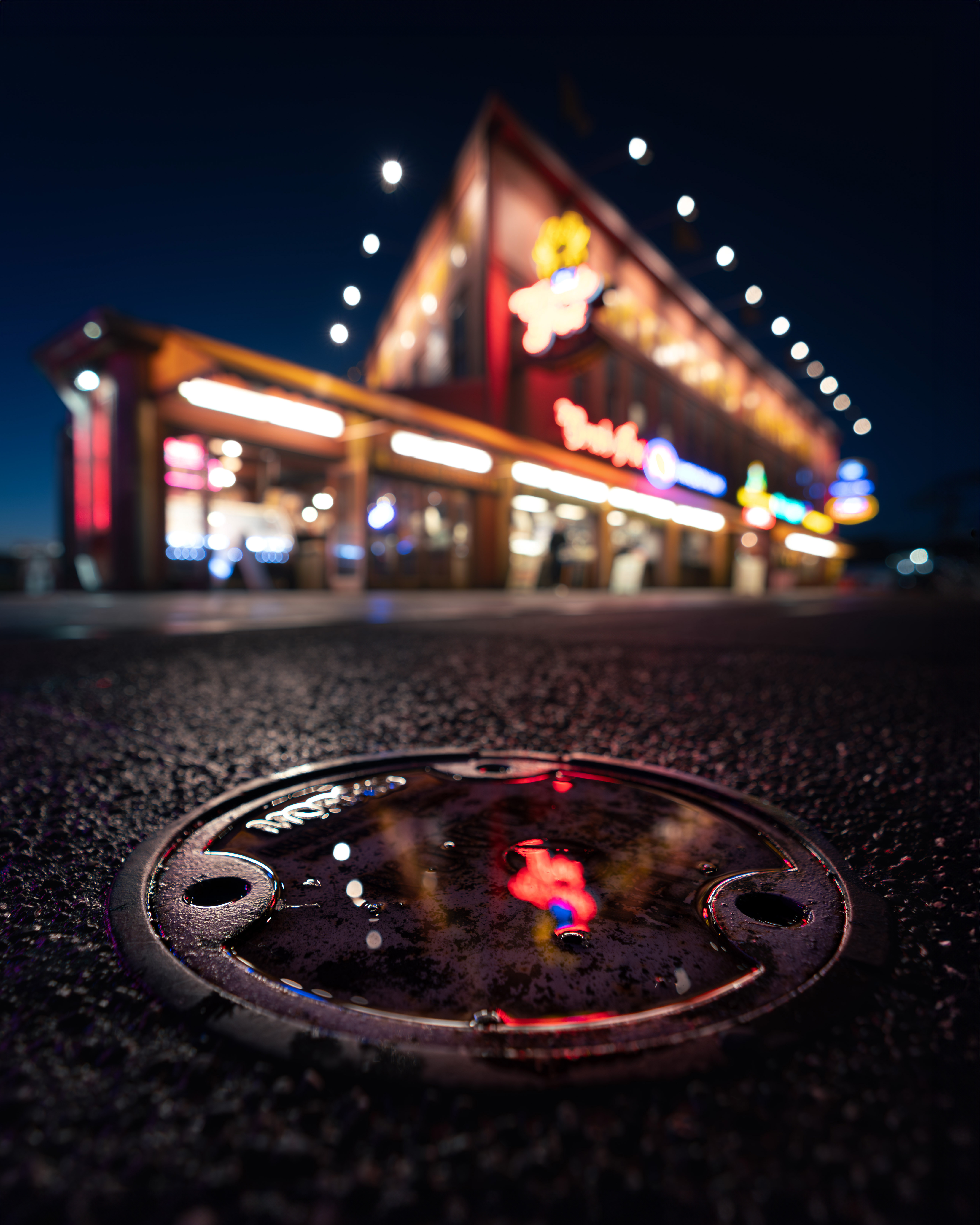 _DSC4133-Verbessert-RR.jpg
