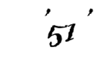 51.jpg