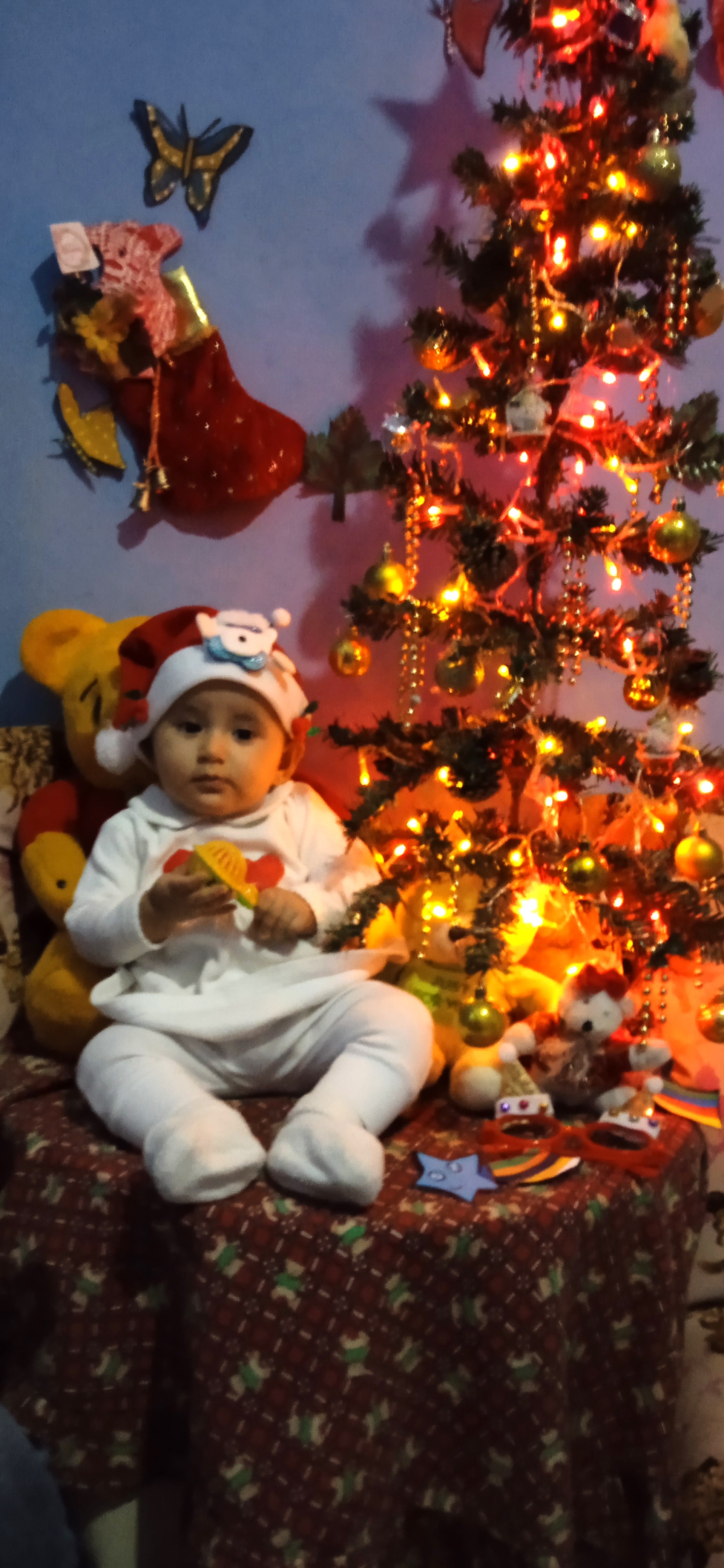  "IMG_20231208_164319.jpg"