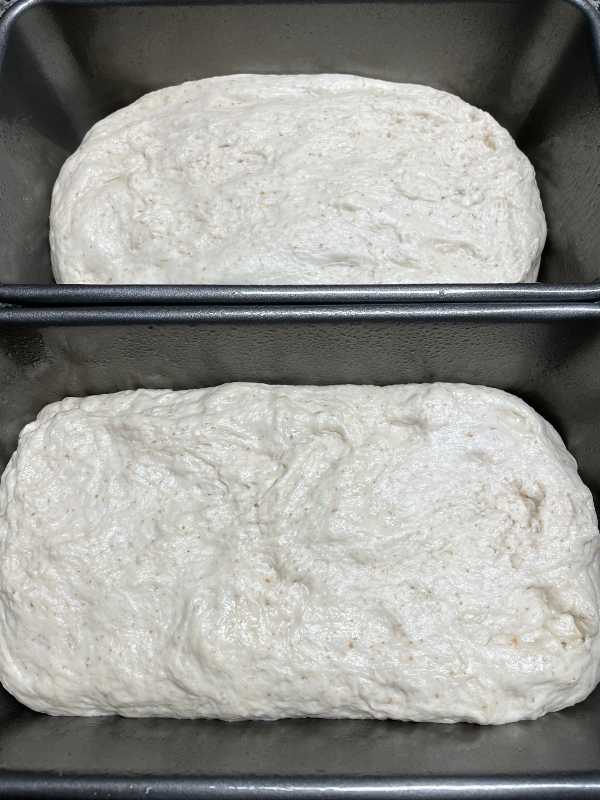 recipe-sourdough-bread-5.jpg