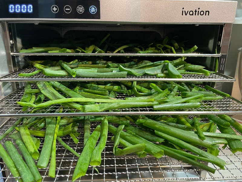 hivegarden-harvesting-onion-dehydrating-4.jpg