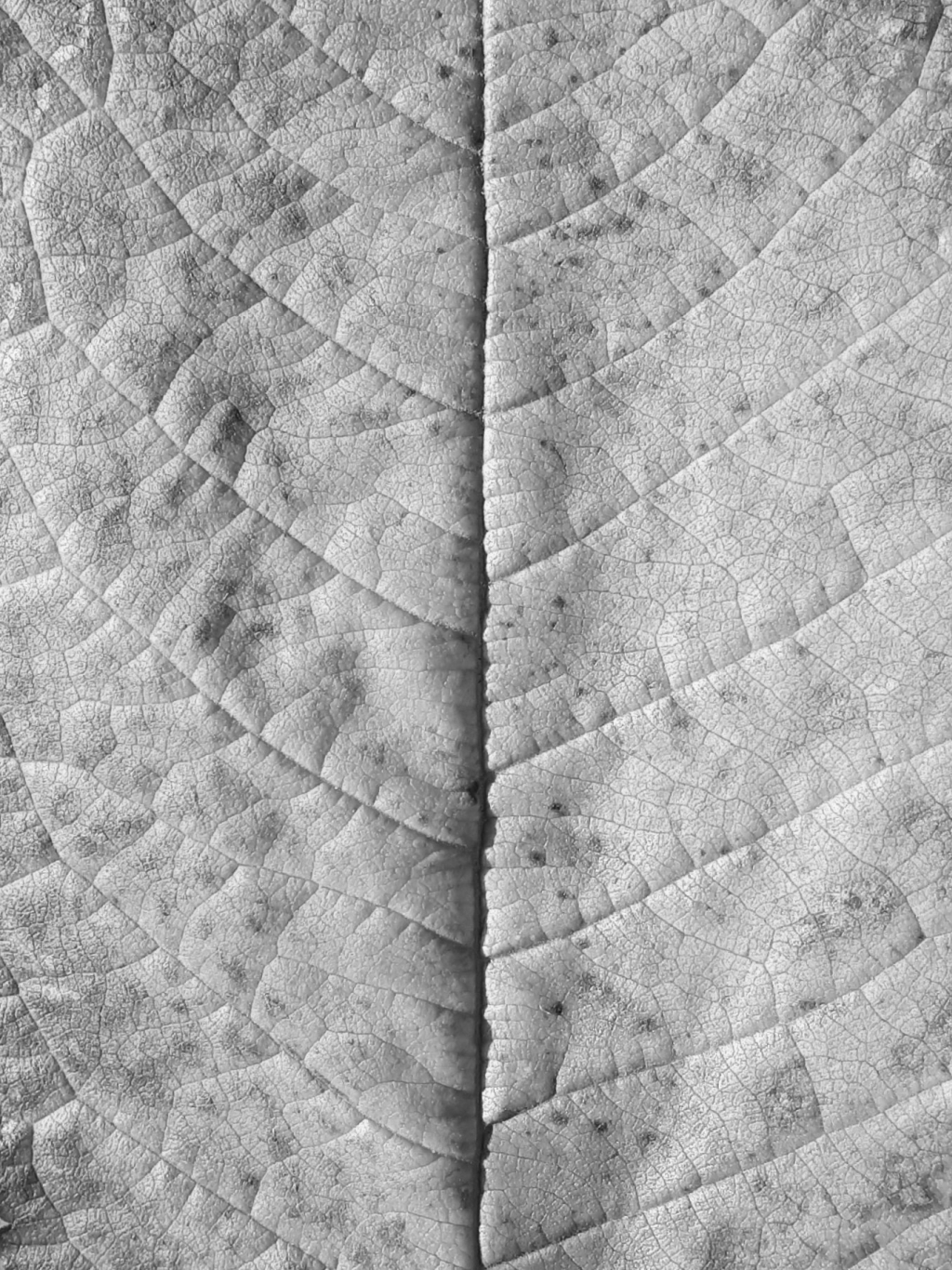 20181011_174223~3.jpg