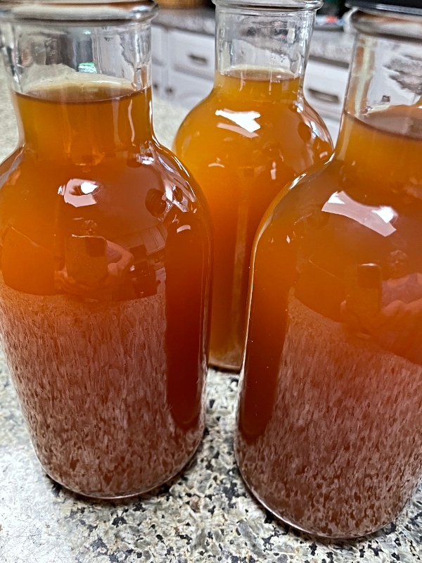 kombucha-tea-ferment-15.jpg