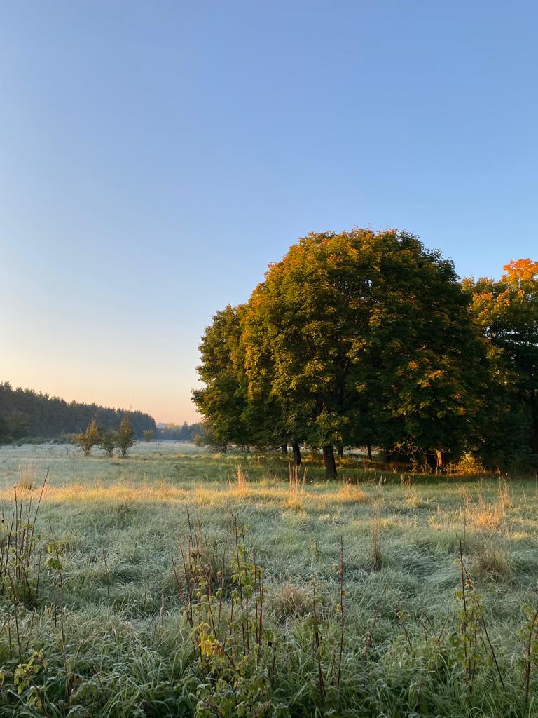 Foto von Danny (2).jpg