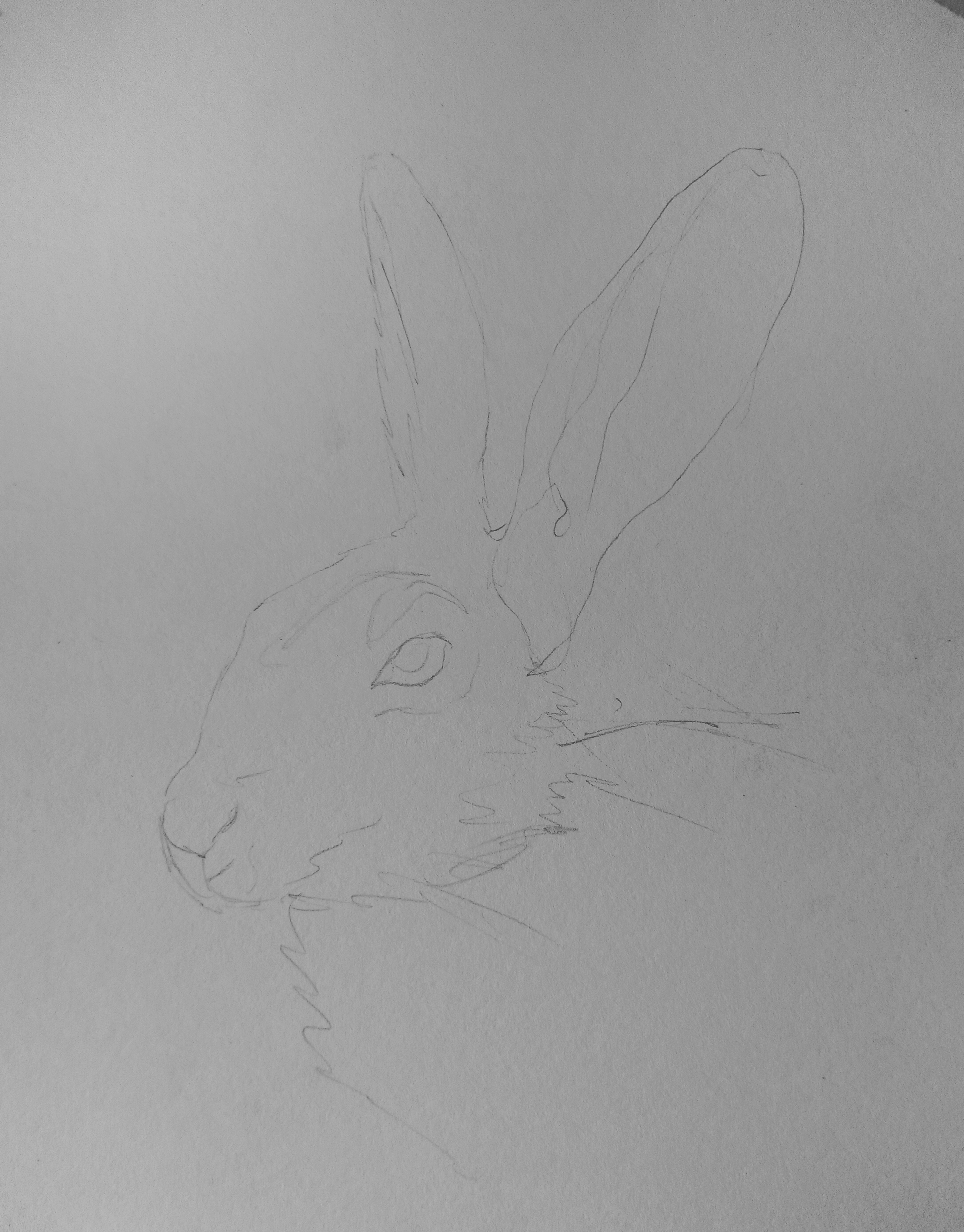 20221031_150246-01.jpeg