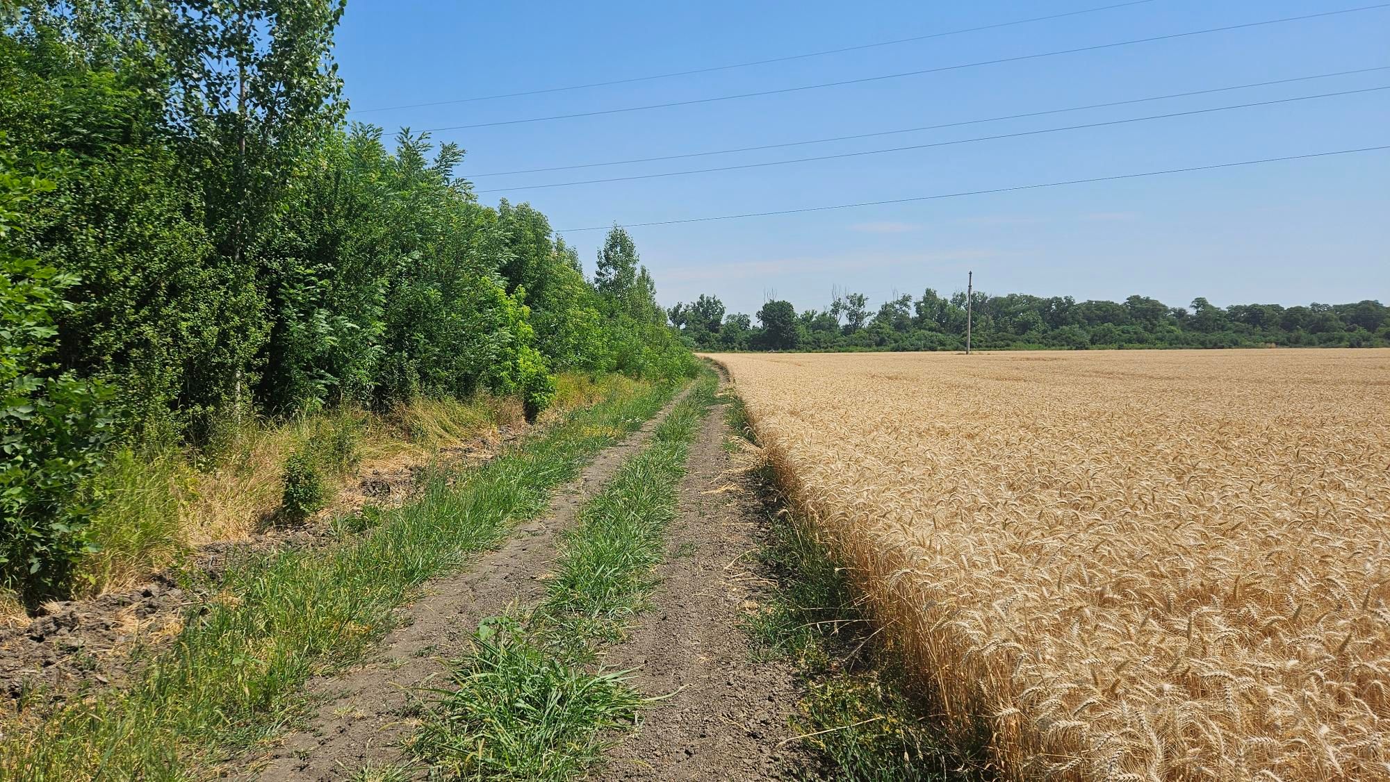 footer_image_15023401412.png