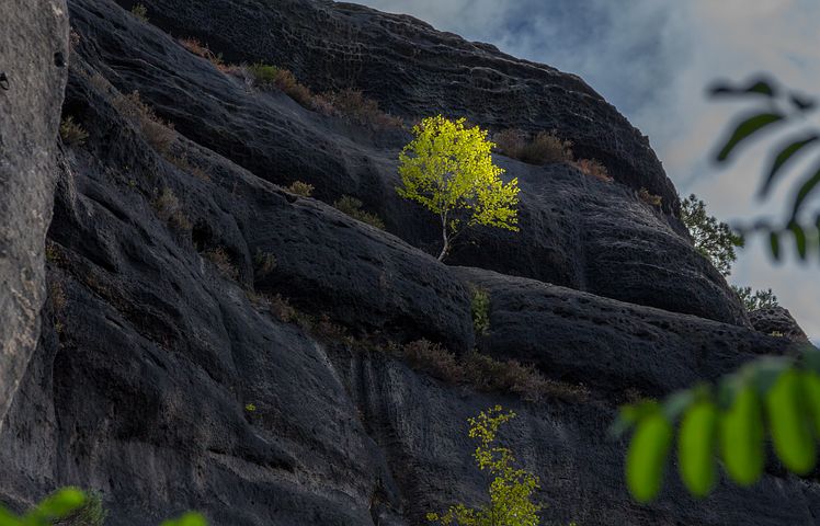 bastei-3728708__480.jpg