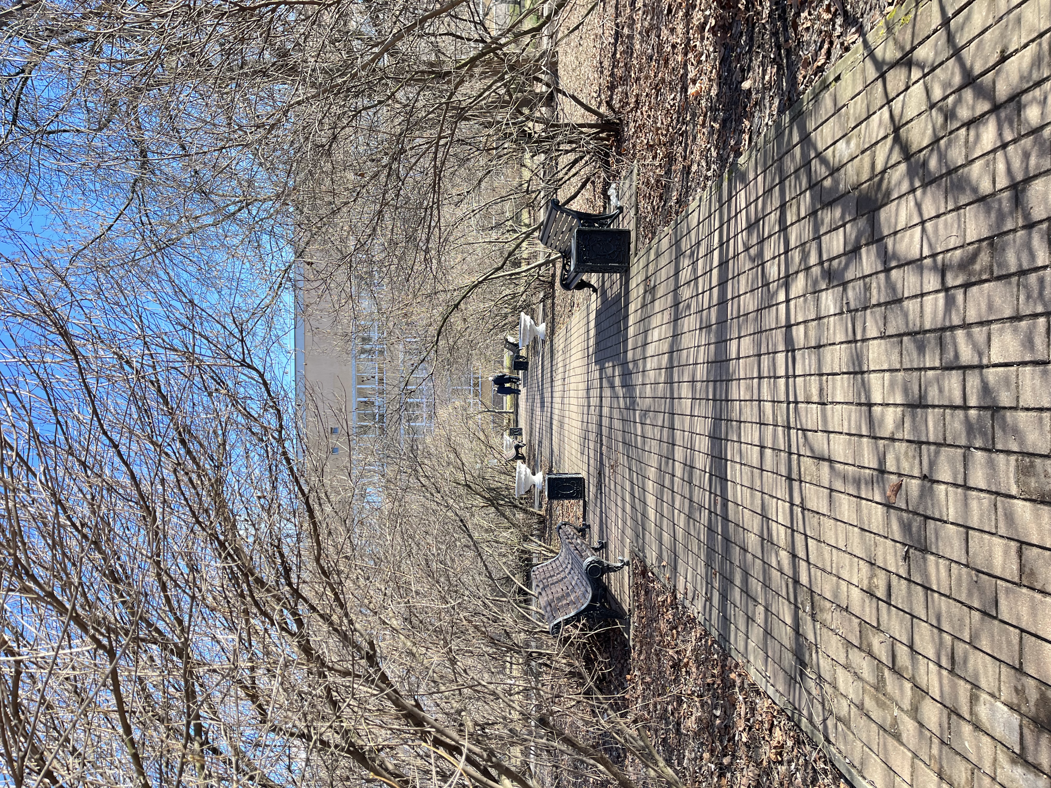 4691AF2D-56B6-4AE7-8361-86F4F5D5D5F8.jpeg