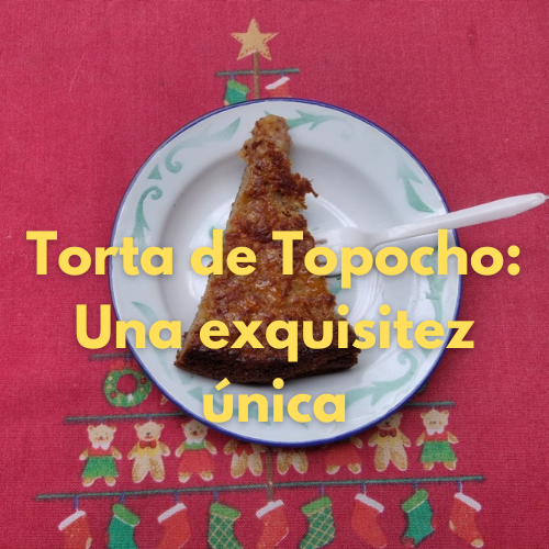 TORTA TOPOCHO 1.png