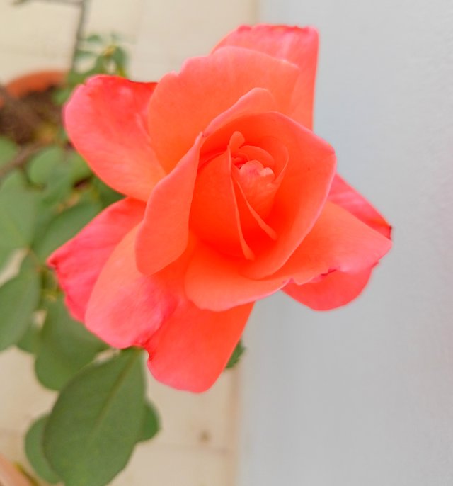 7258xSVeJbKkzXhyseBP4PYz11eBDT8sW2oR1a4vfVFS6HTXhHYp4QjyGQJEBaujXXE6mcAdG1mVY5LAuMESWLqw1NBdkXiuN4Wwi47RMwdeDAoE4DC2TJAc96xCnLXCCtXPdSS6zptBp.jpeg
