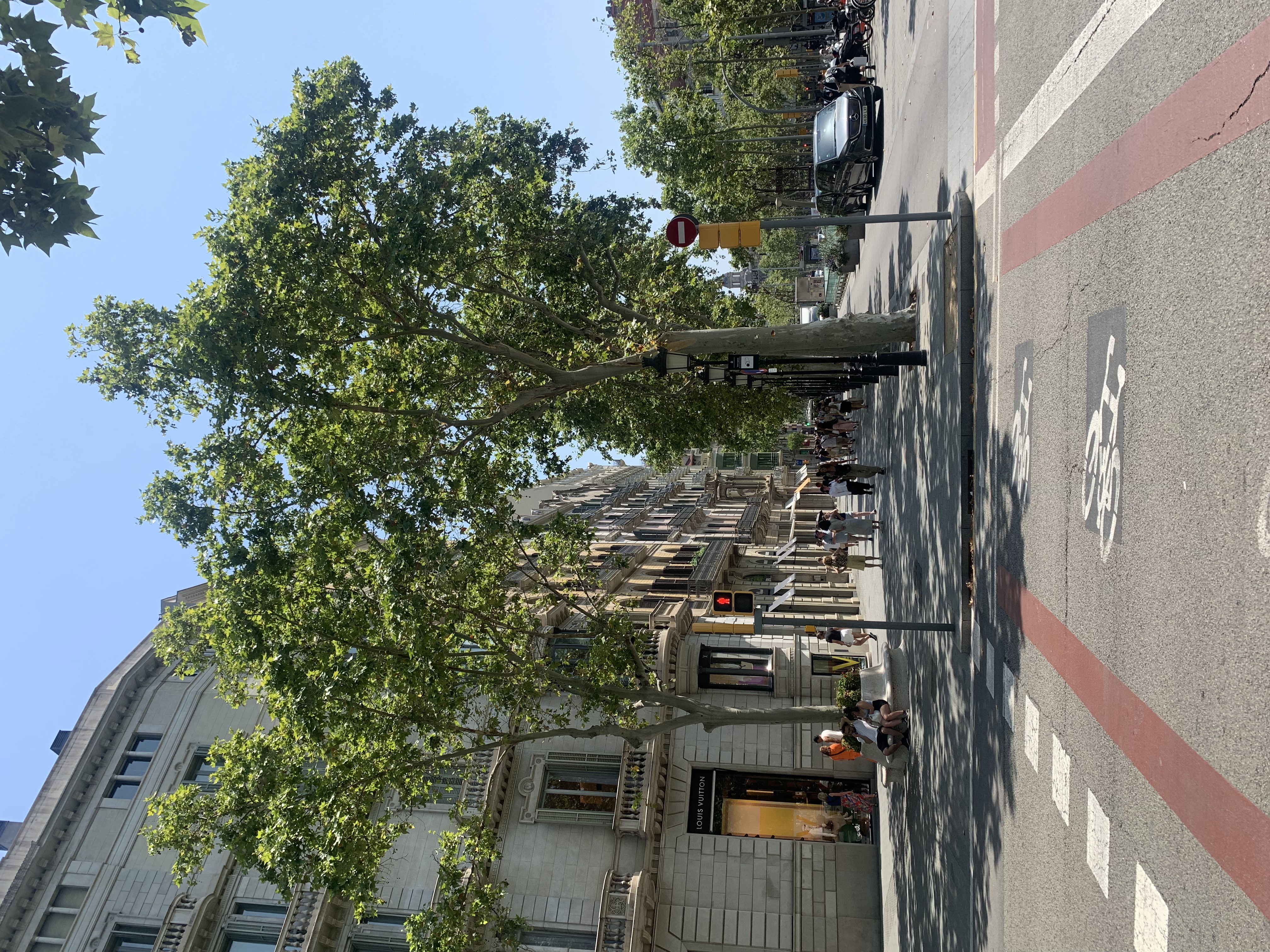 IMG_1878.jpeg
