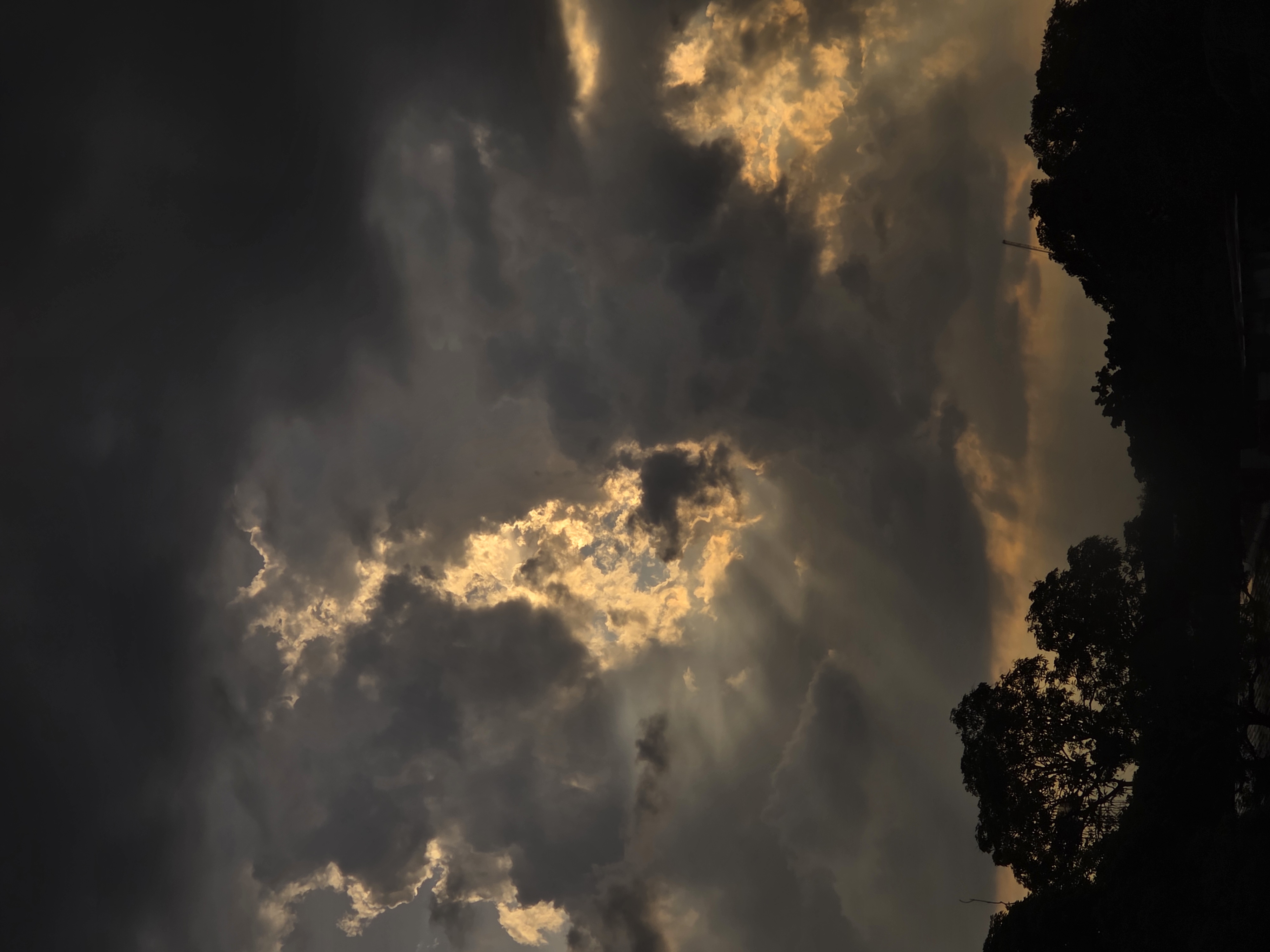 20250615_172044.jpg