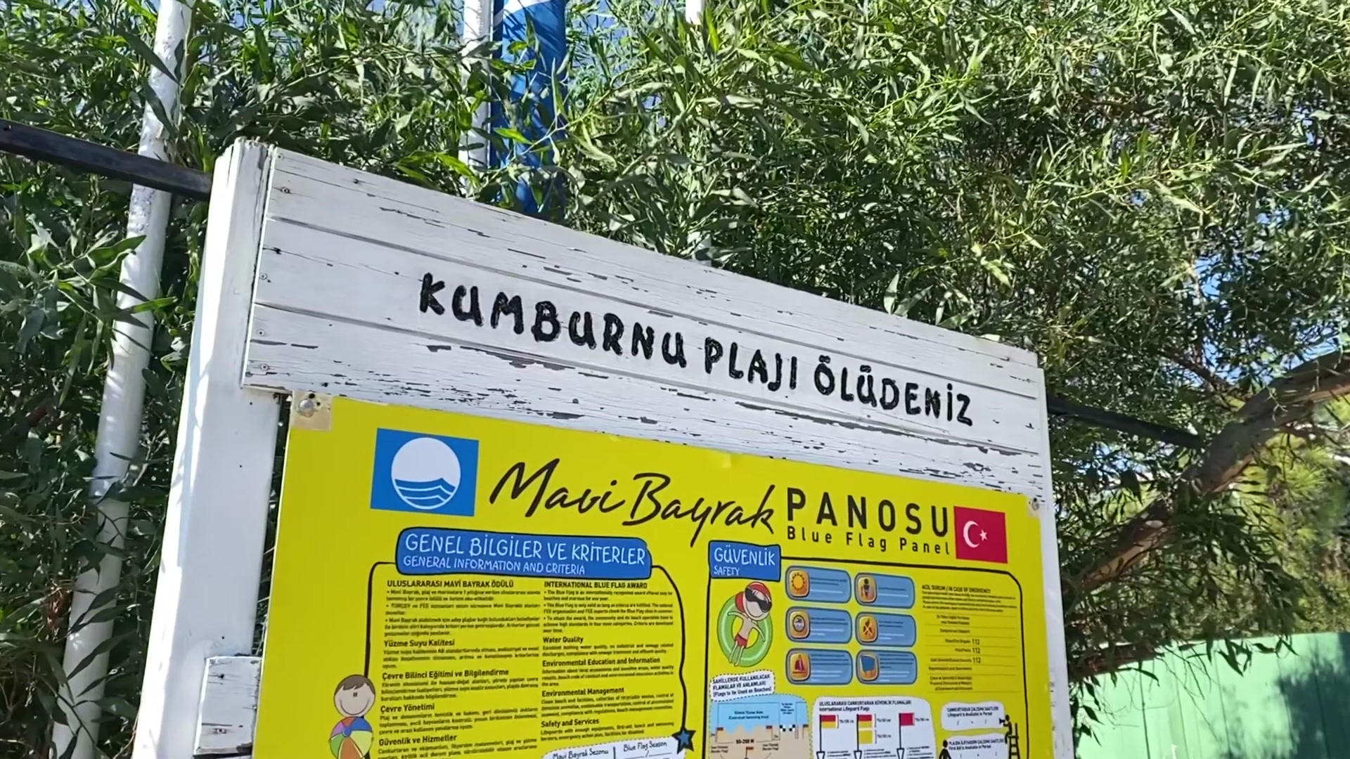 102.jpg