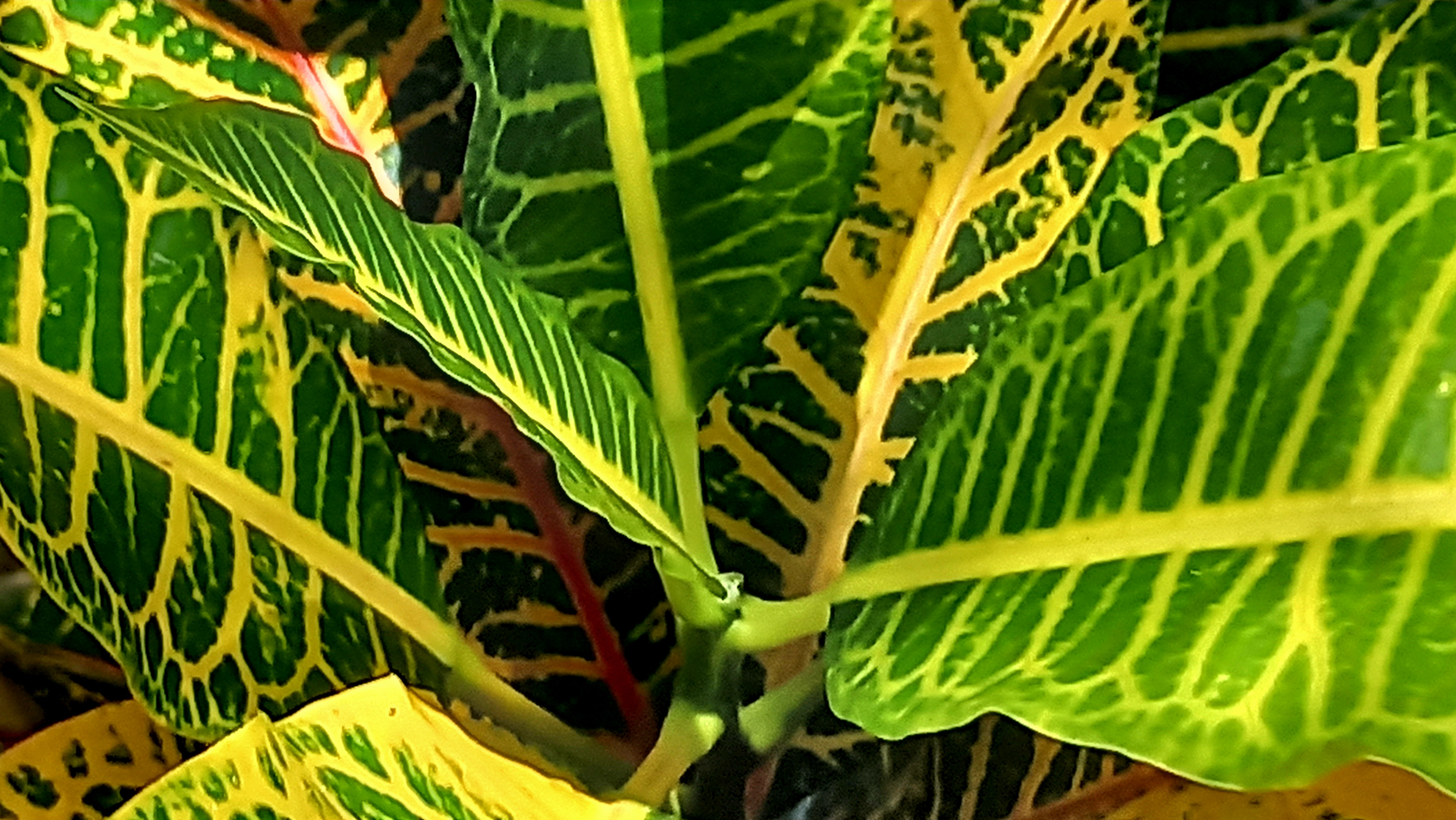 20250817_121954.jpg