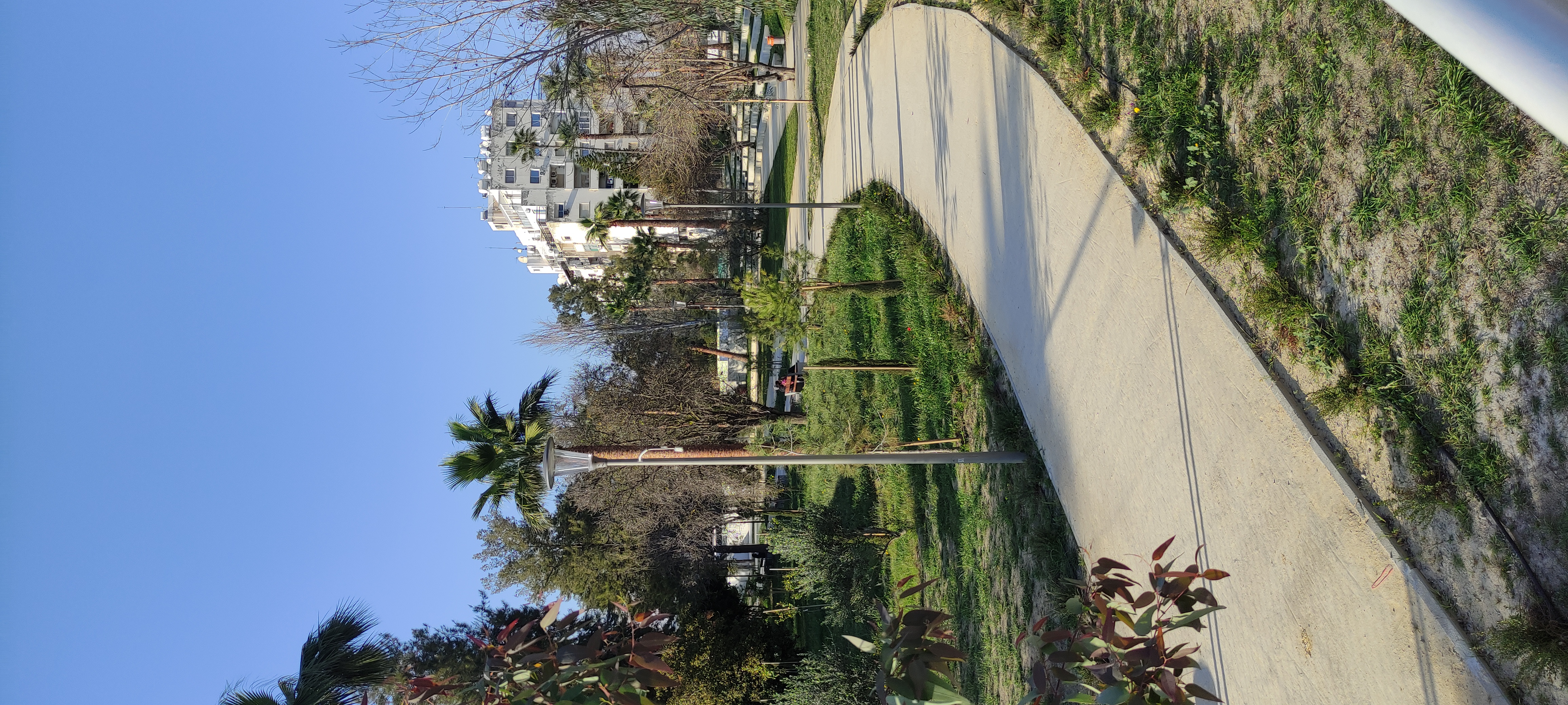 IMG_20250311_161515.jpg