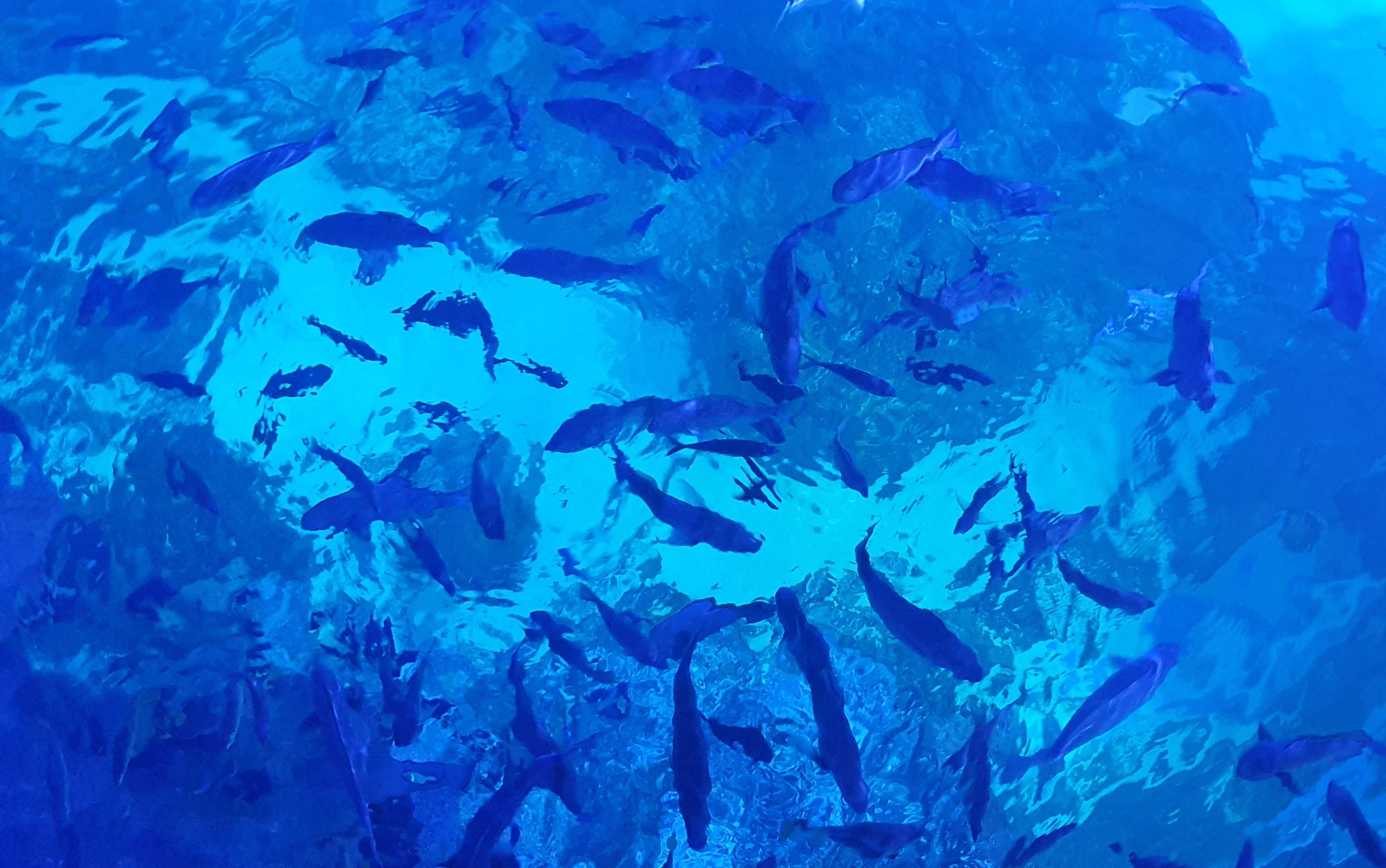 20221122_145402.jpg