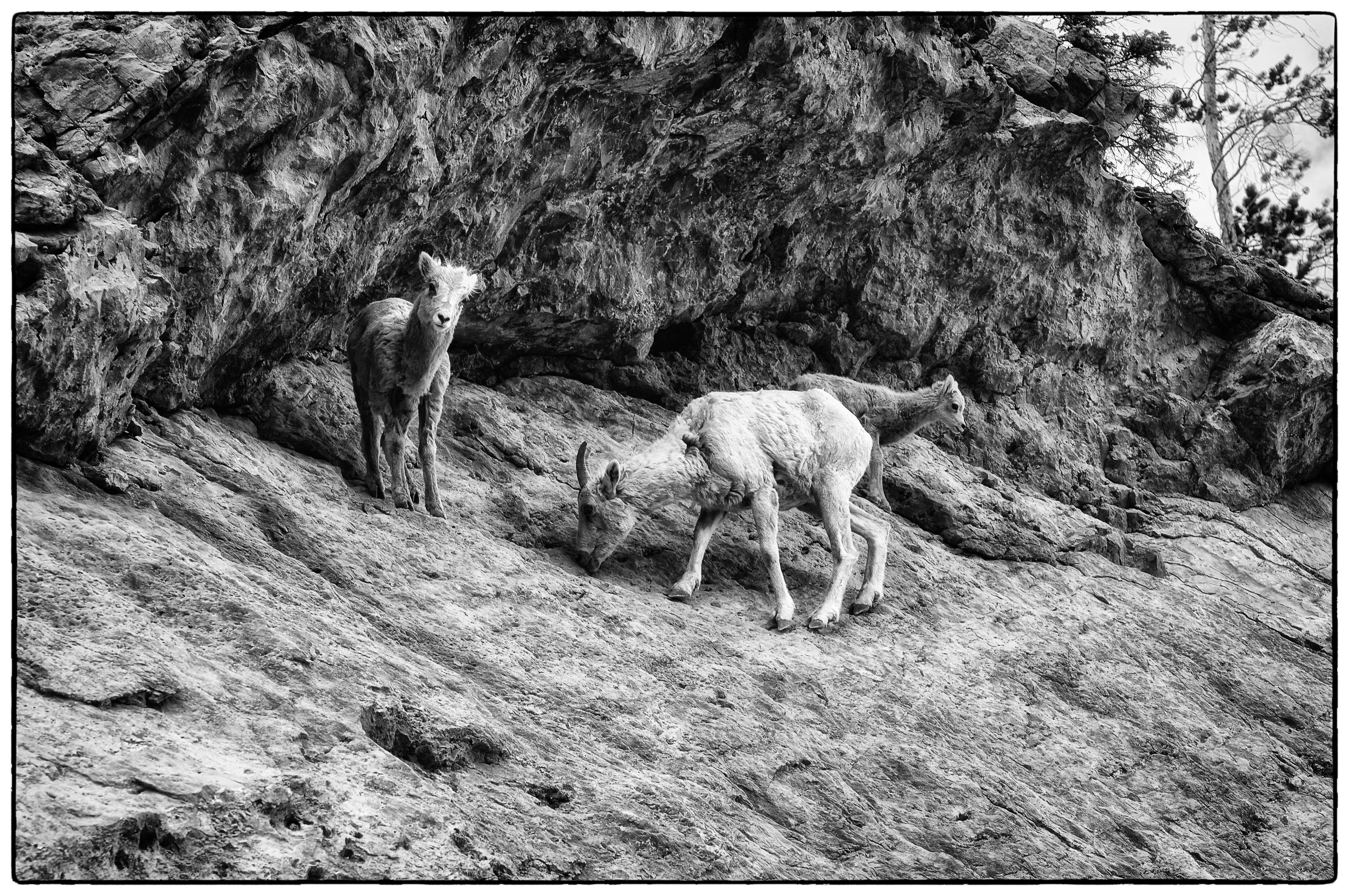 June 2 2016 Edits 39-Edit-2.JPG