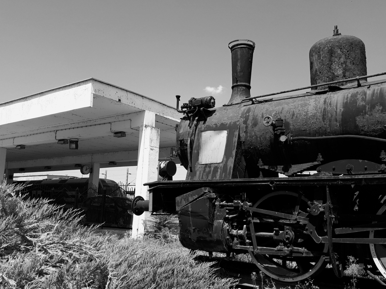 20250808_121034.jpg