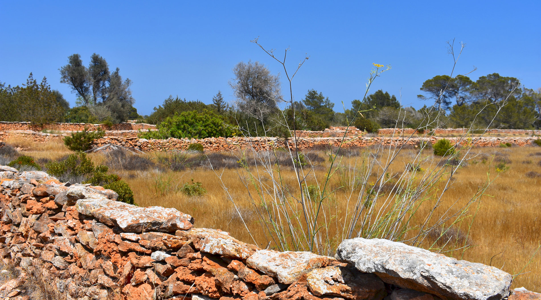 Formentera-40.jpg