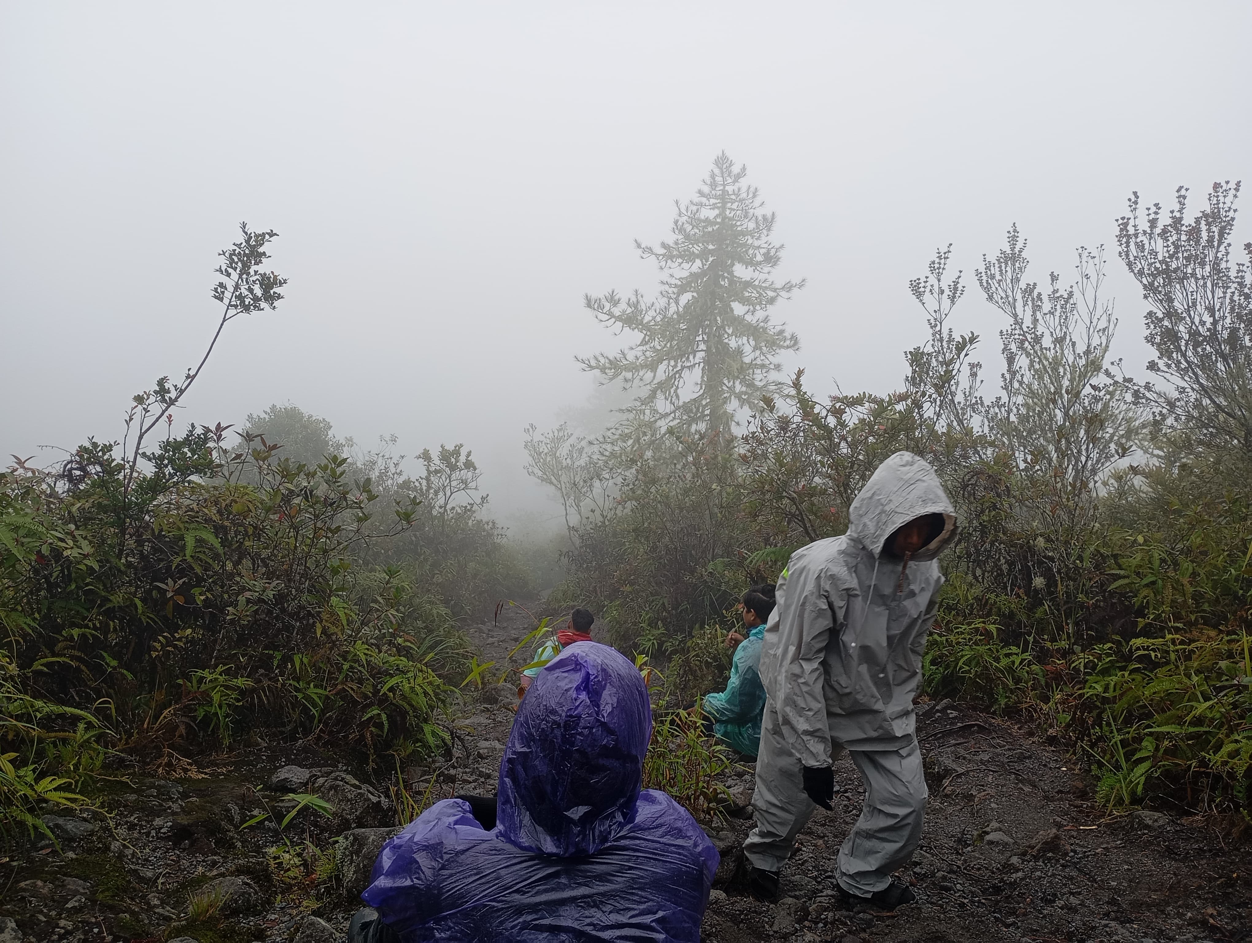 IMG-20250801-WA0044.jpg