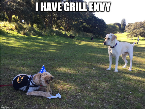 Screenshot_2021-04-05 jealous envy dog Meme Generator - Imgflip.png