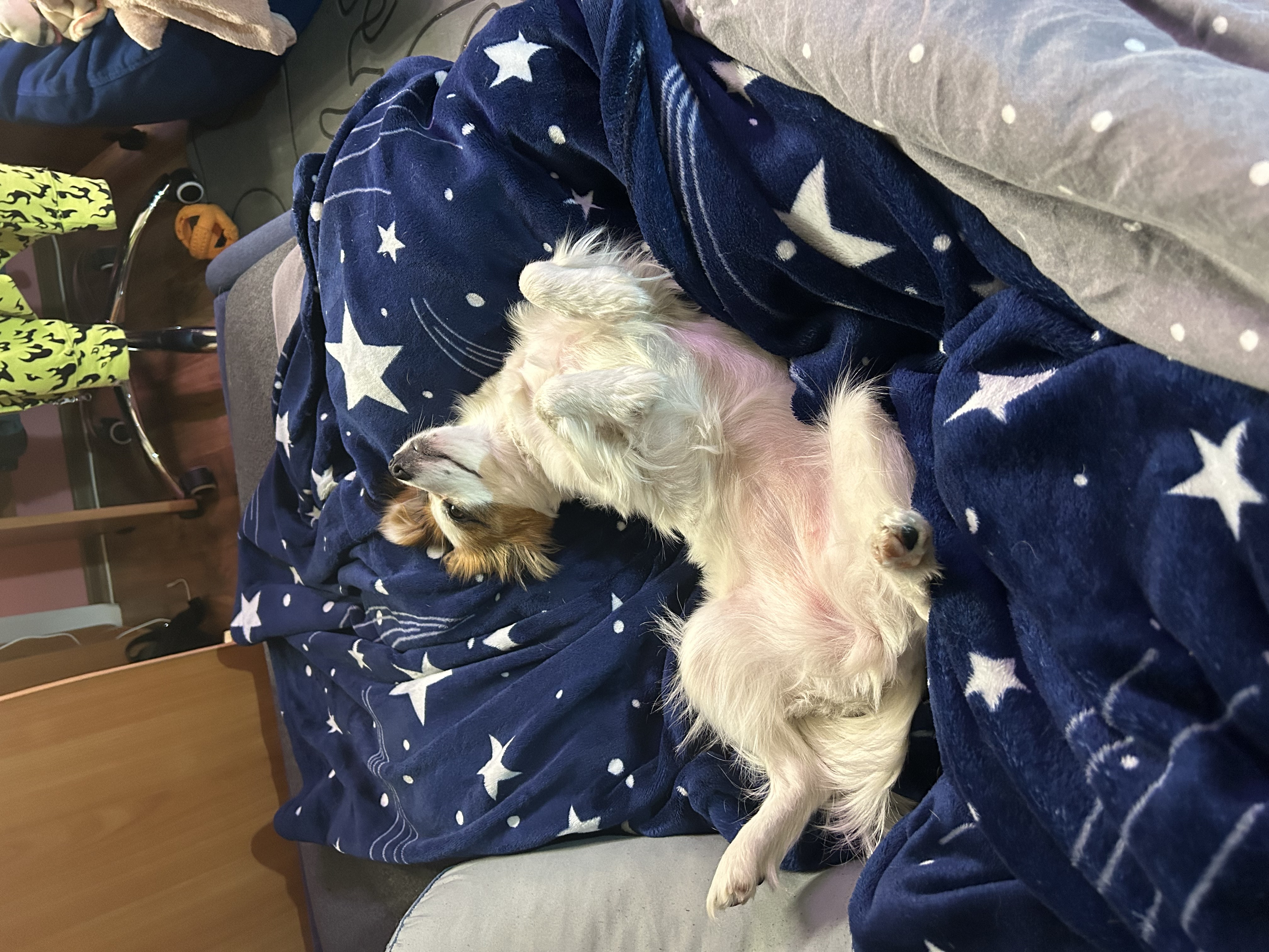 IMG_6748.jpeg