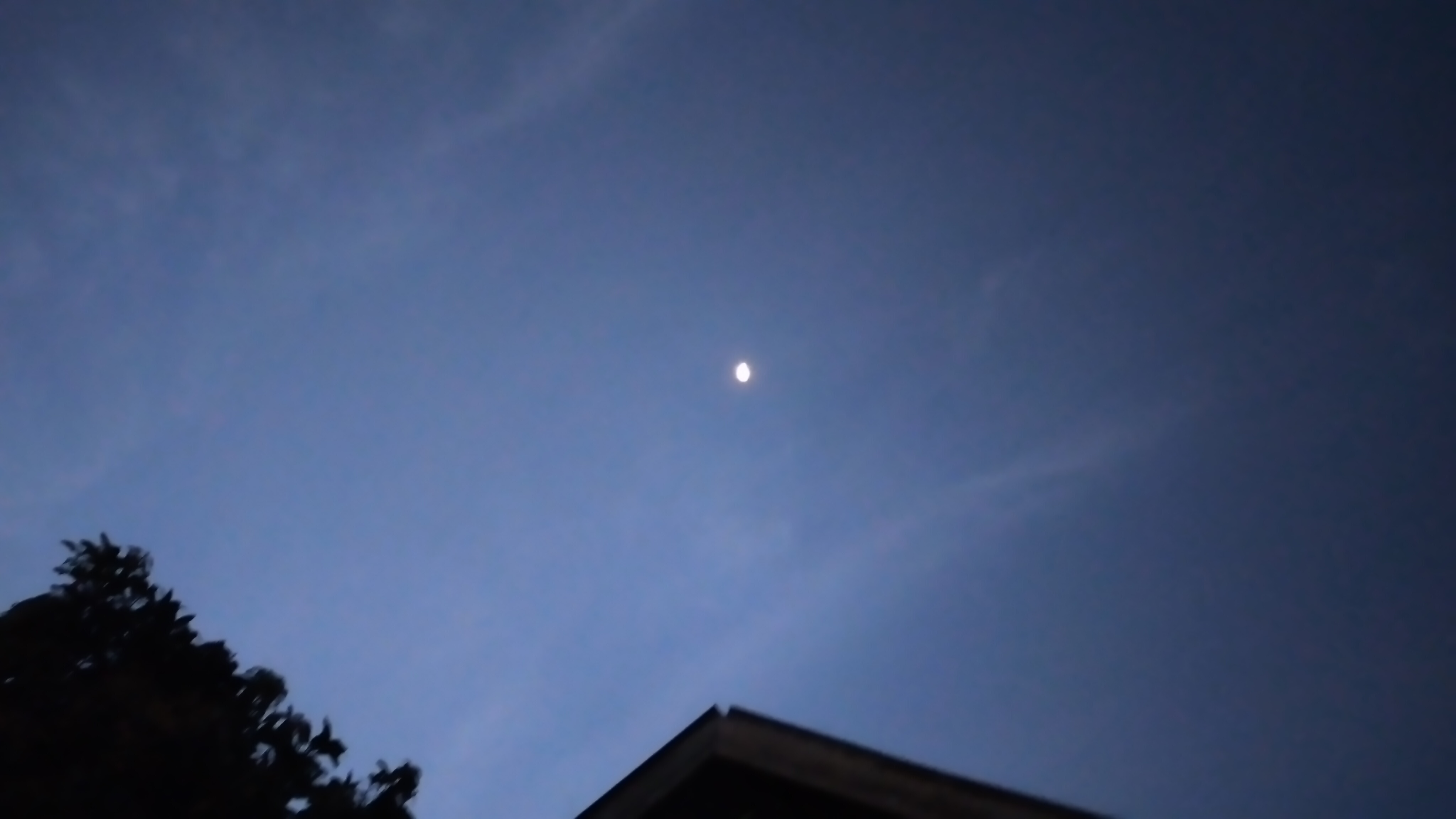 20240204_062720.jpg
