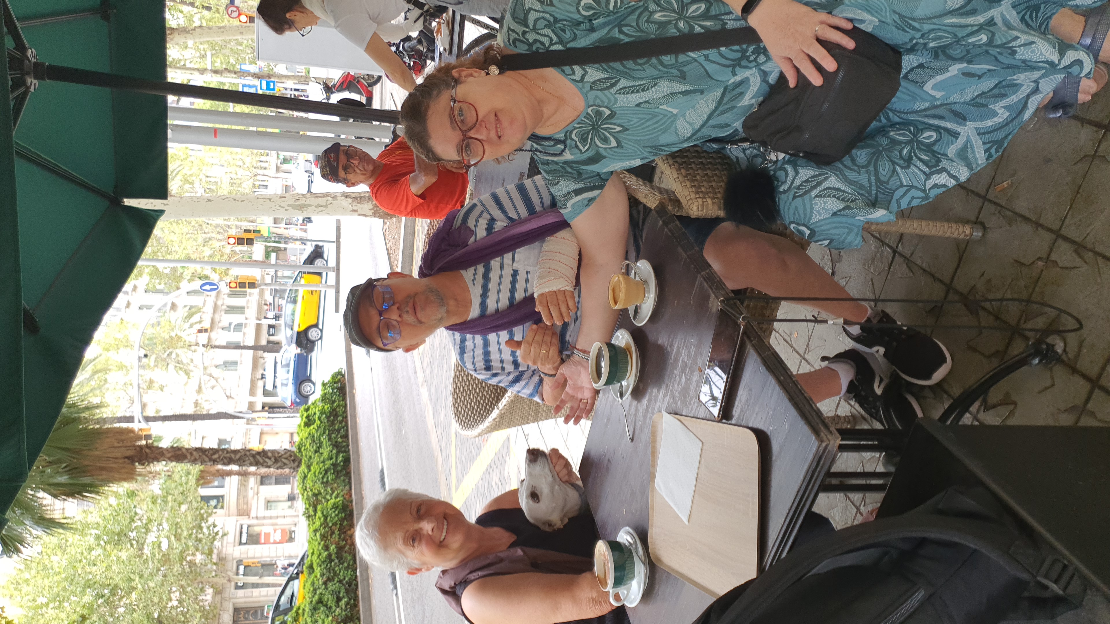 IMG-20230806-WA0017.jpeg