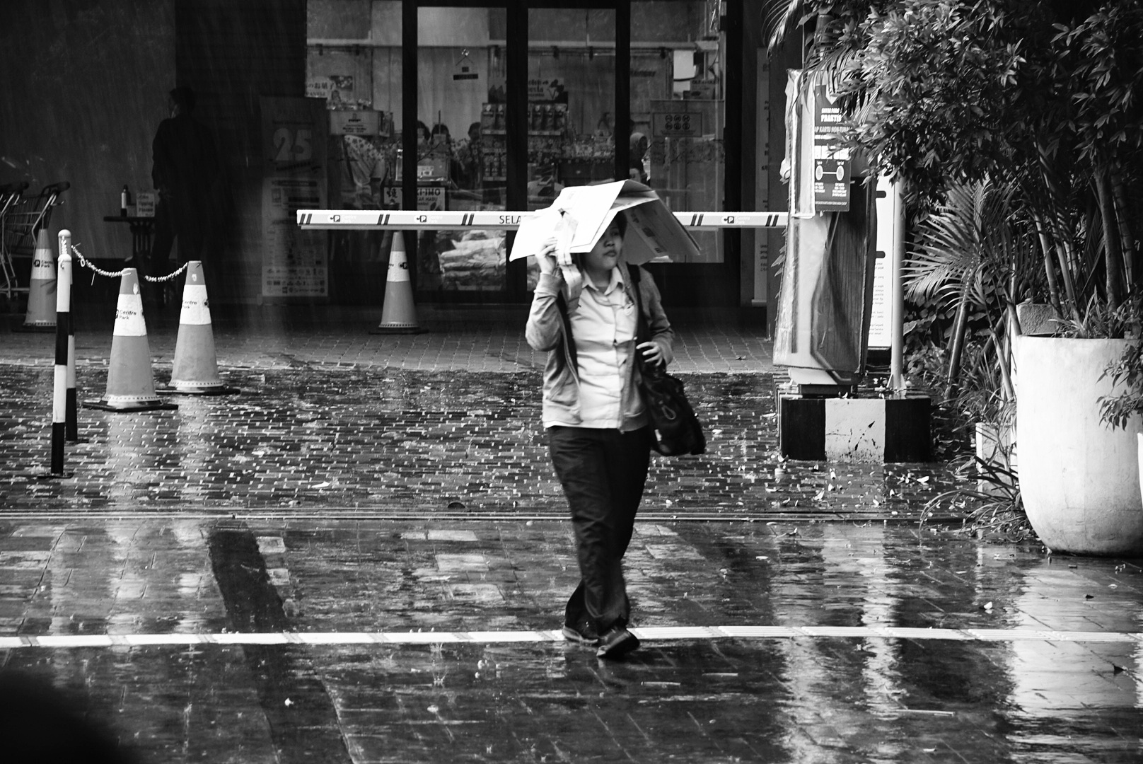 DSC04367-01.jpeg