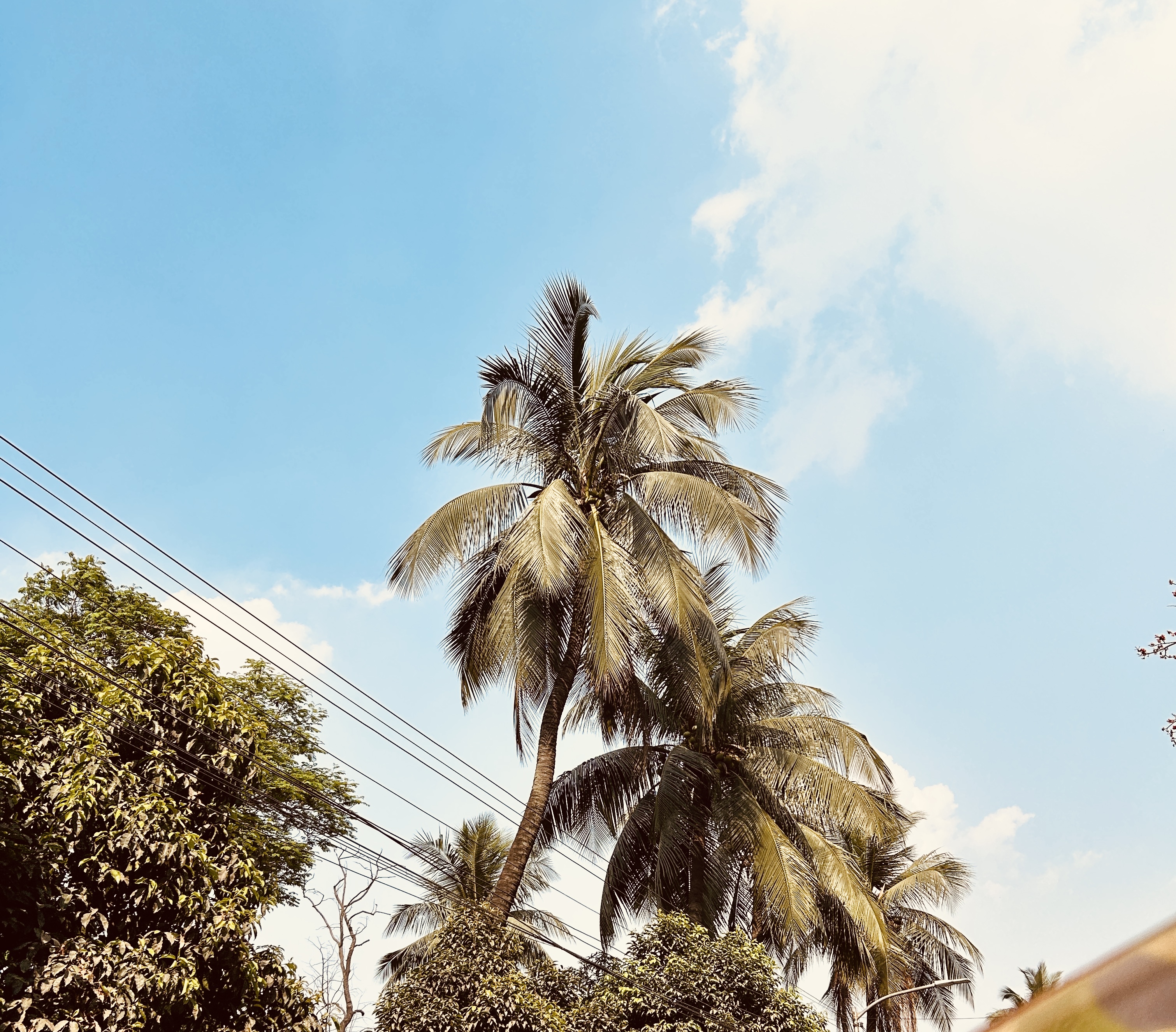 IMG_5610.jpeg