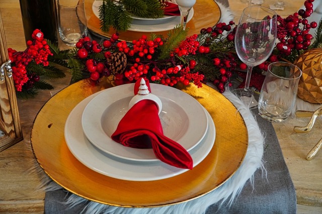 christmas-dinner-4712250_960_720.jpg