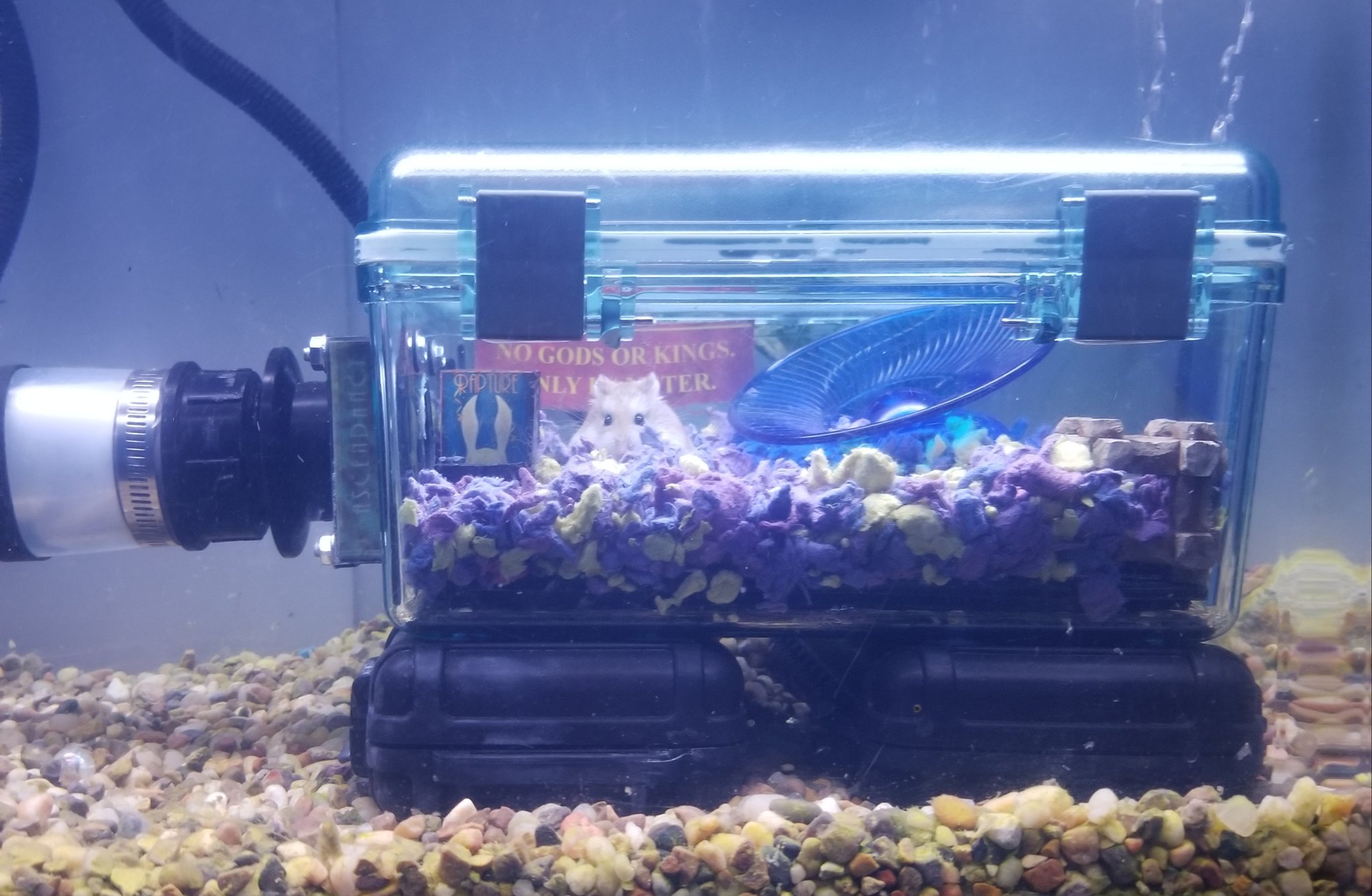 Underwater hamster hot sale cage