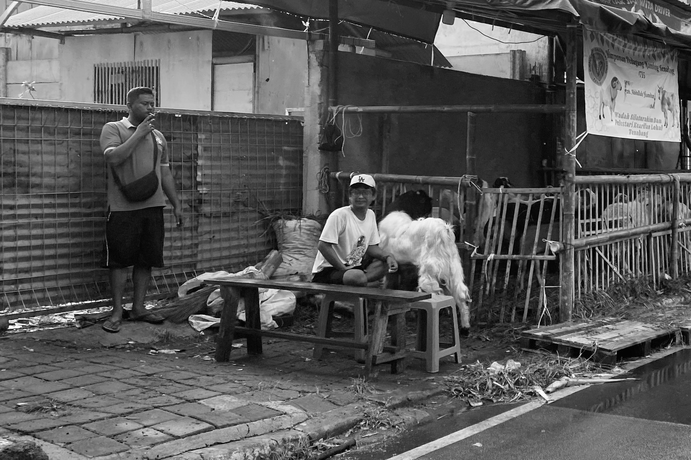 image00005-01-min.jpeg