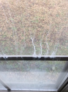 oldwindow1.JPG