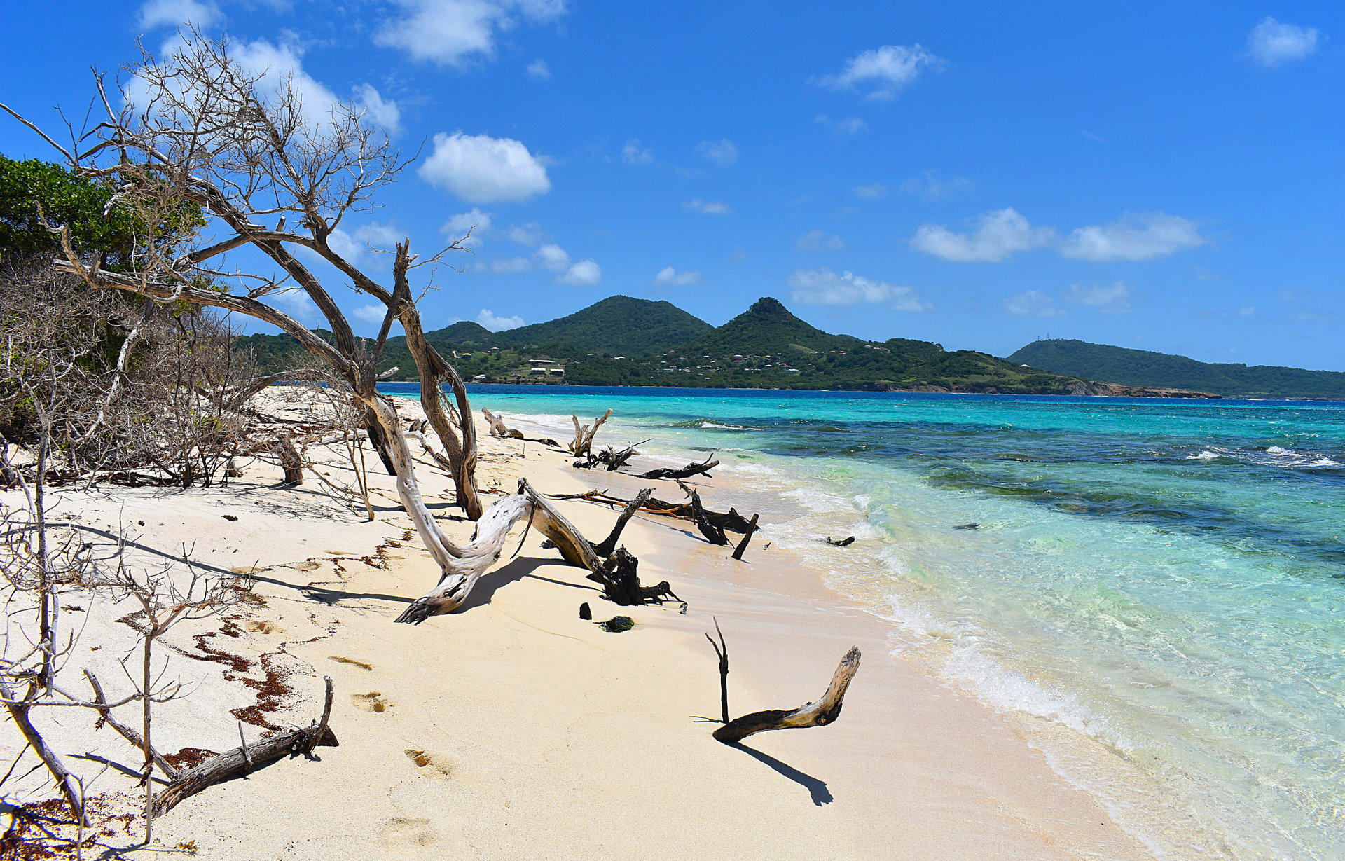 Carriacou-14.jpg