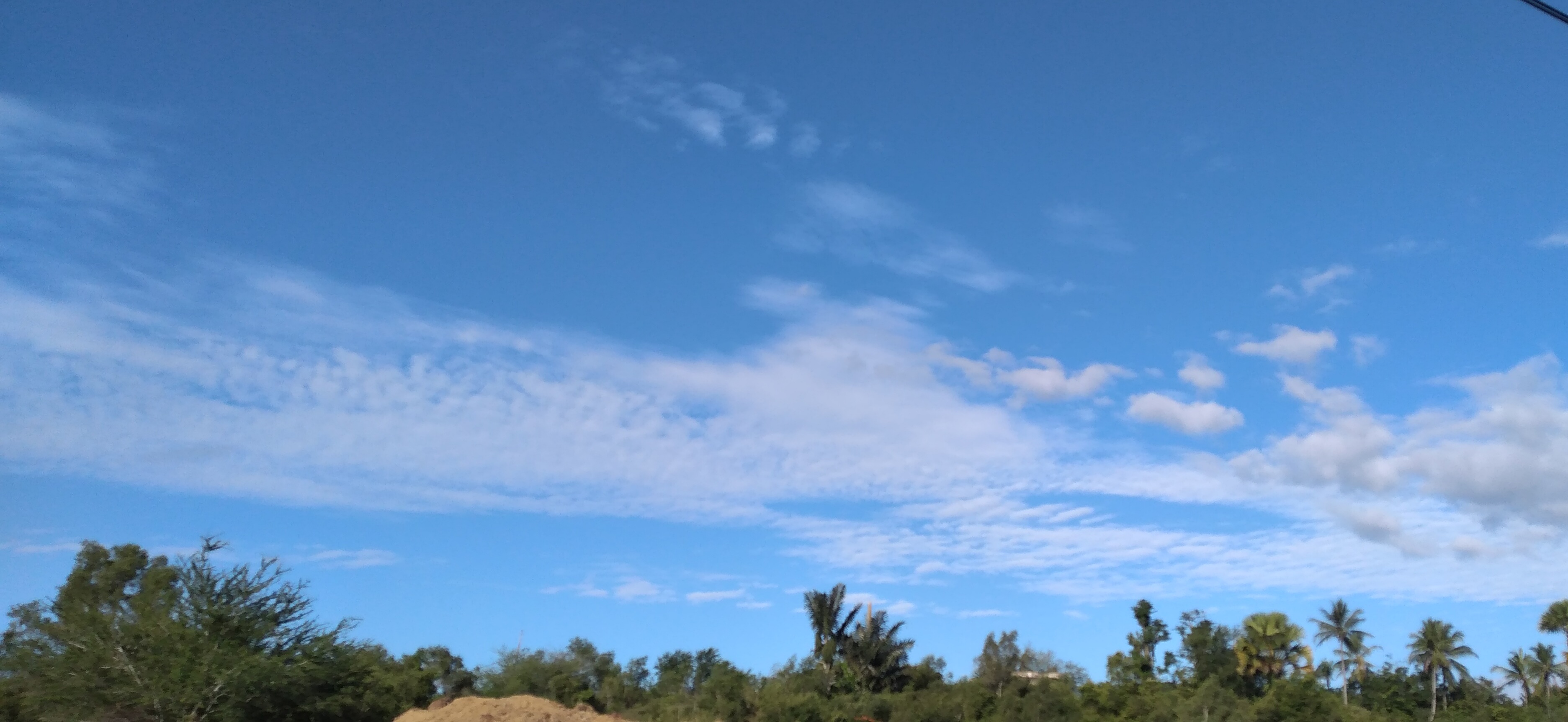 20230302_082842.jpg