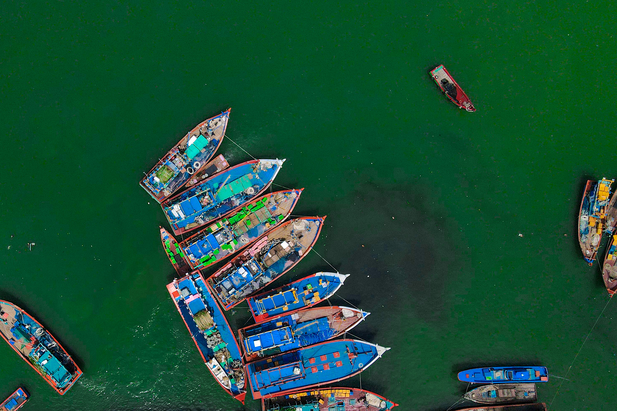 dji_fly_photo (5).jpg