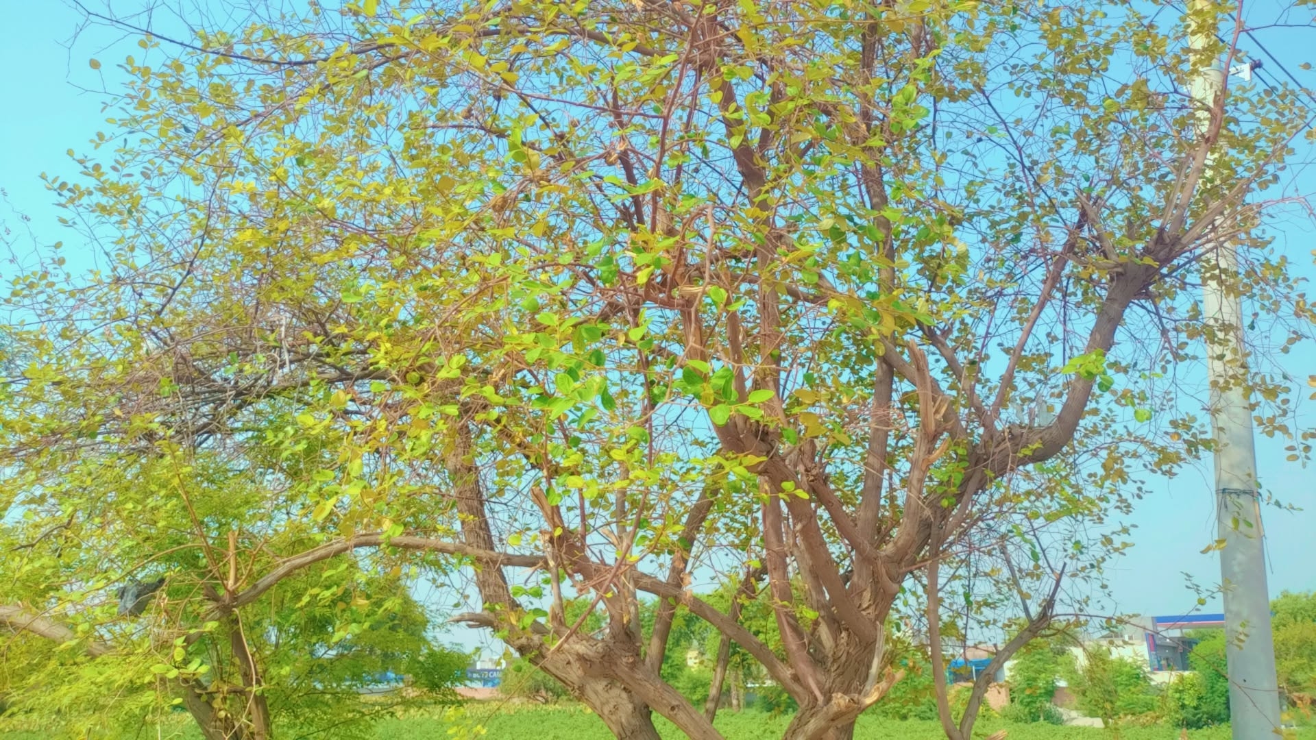 IMG_20250731_164851.jpg