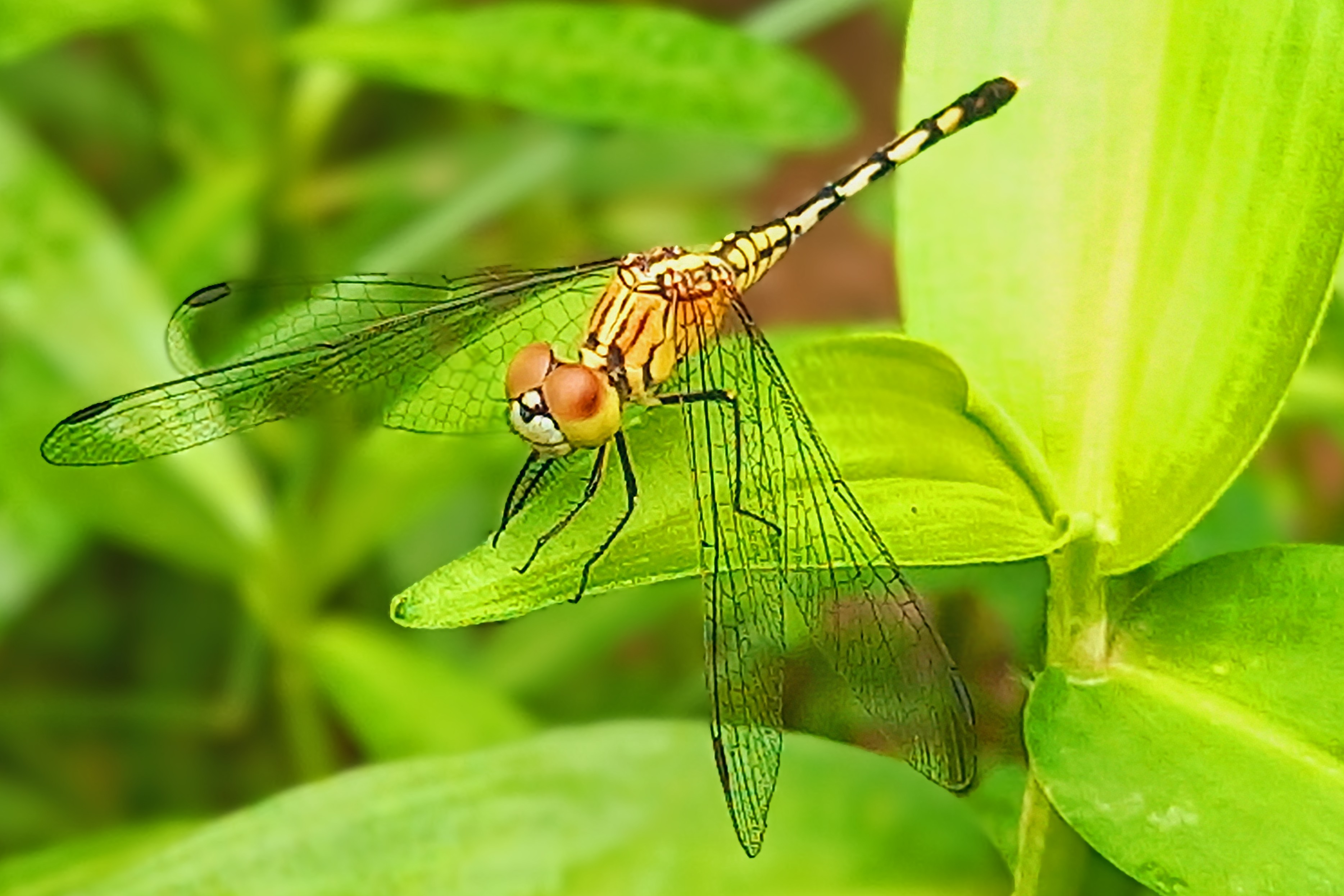 20250620_101850~2.jpg