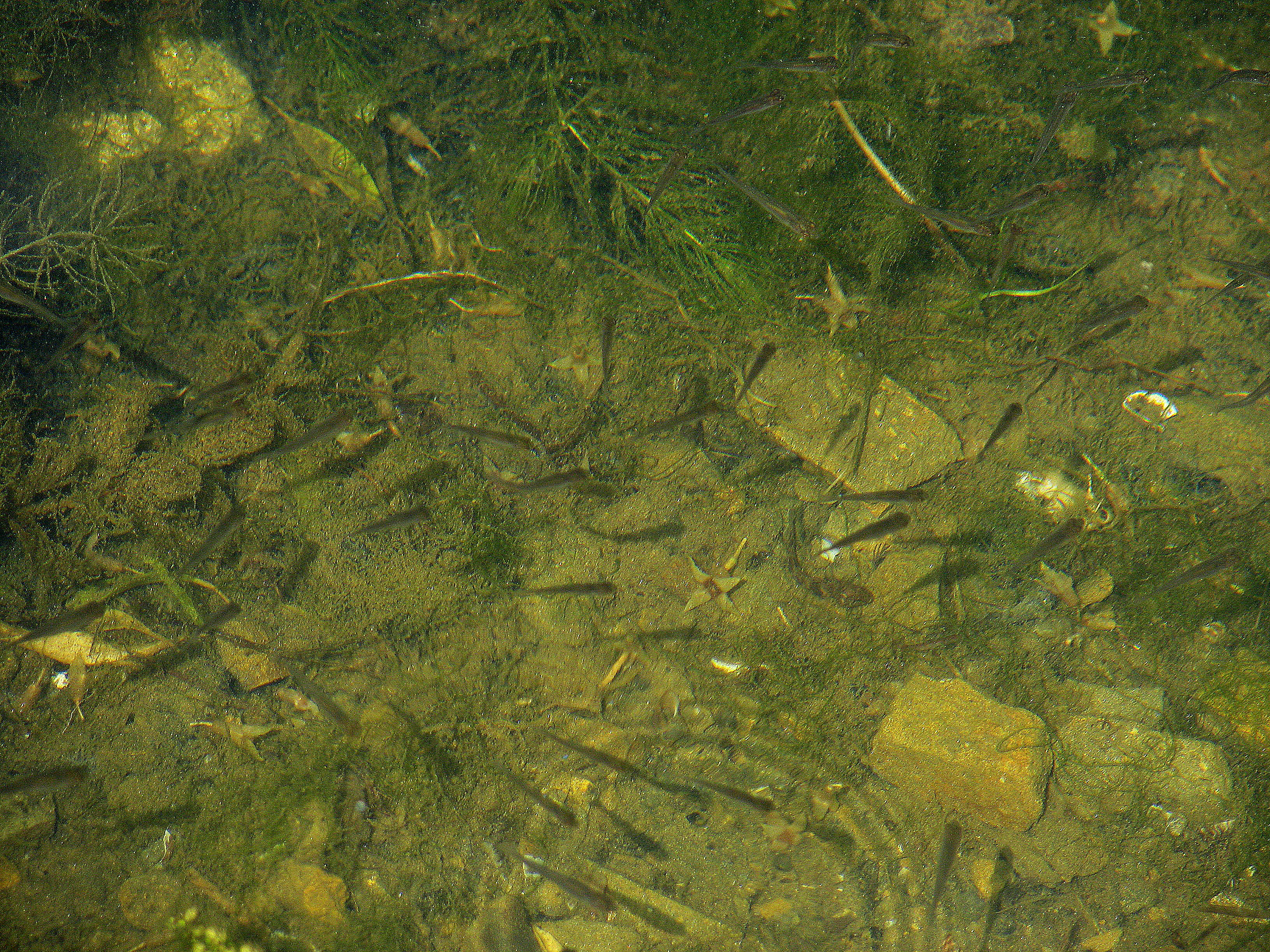 2009.06.14 14.51.30 3.jpg