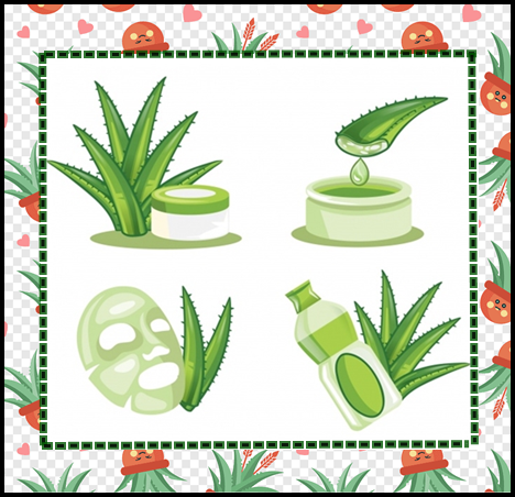png-clipart-aloe-vera-drawing-cartoon-pattern-cartoon-aloe-vera-potted-pattern-cartoon-character-leaf.png