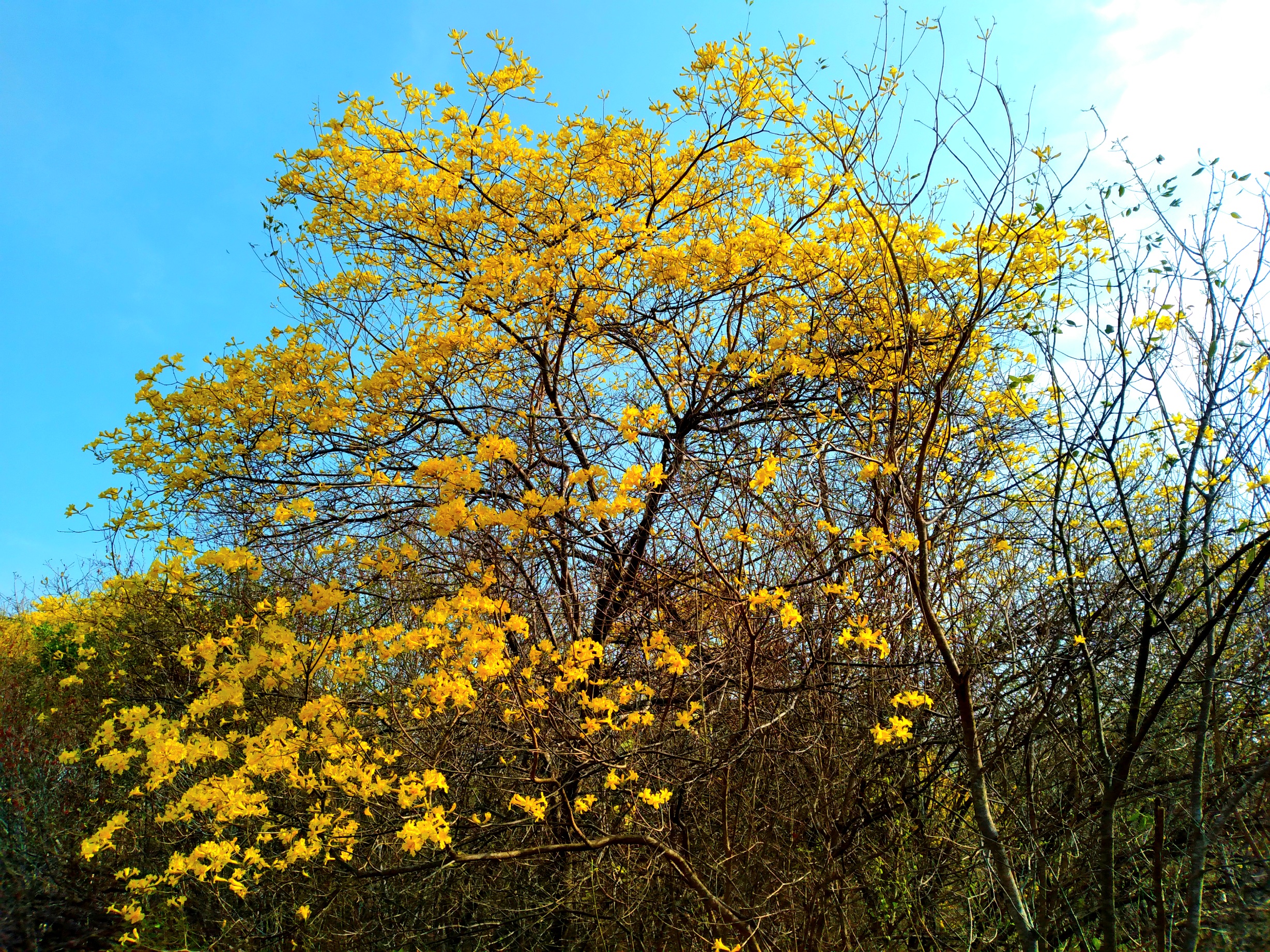 20250321_090422.jpg