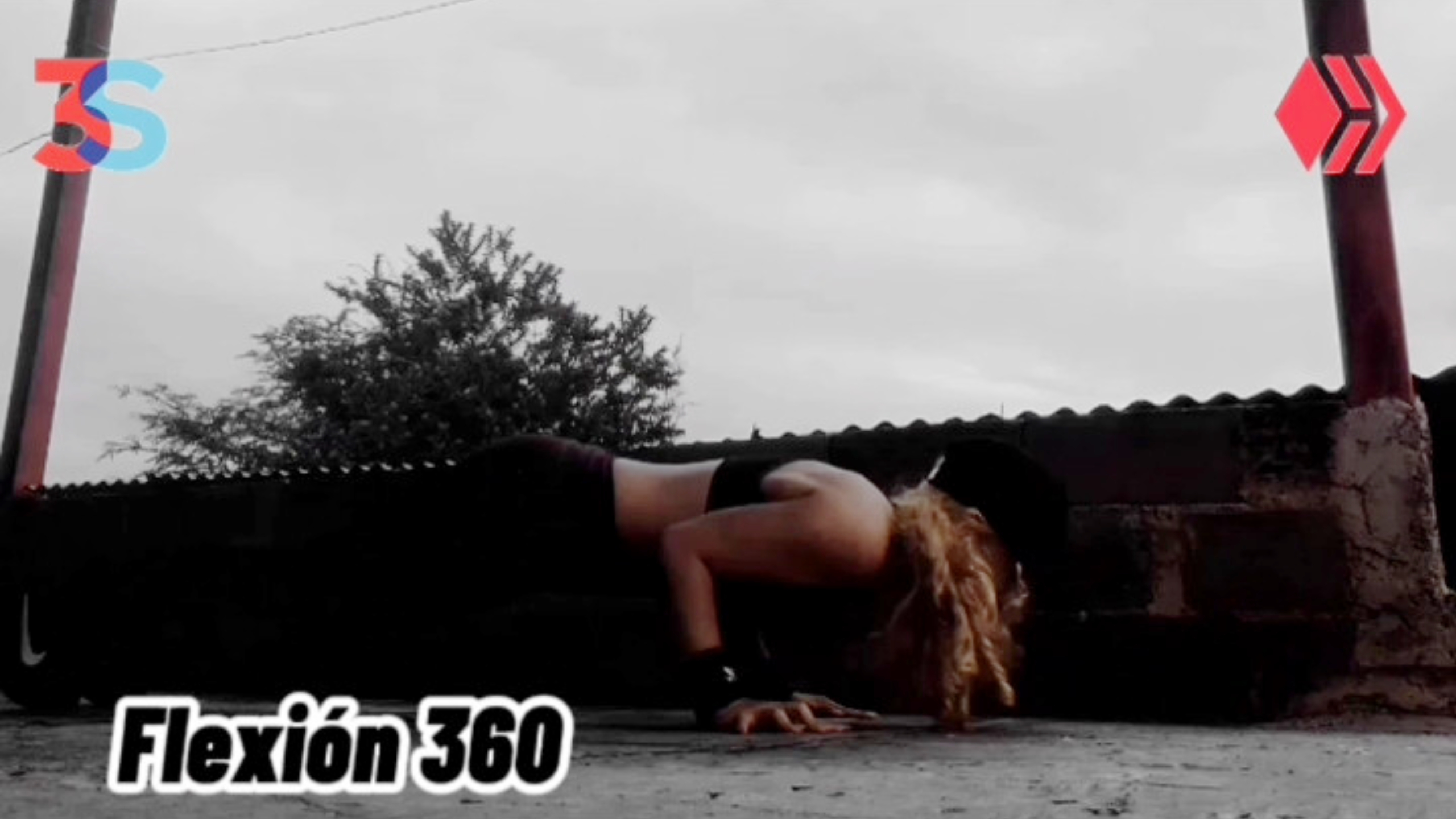 flexion 360 1.jpg