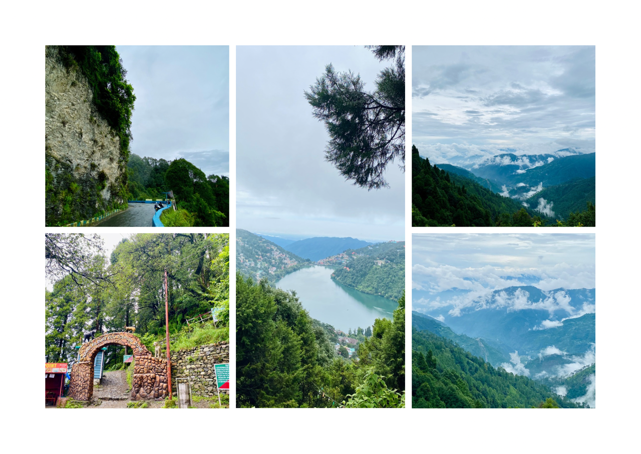 Brown and Beige Simple Interior Photo Collage Landscape A3.png