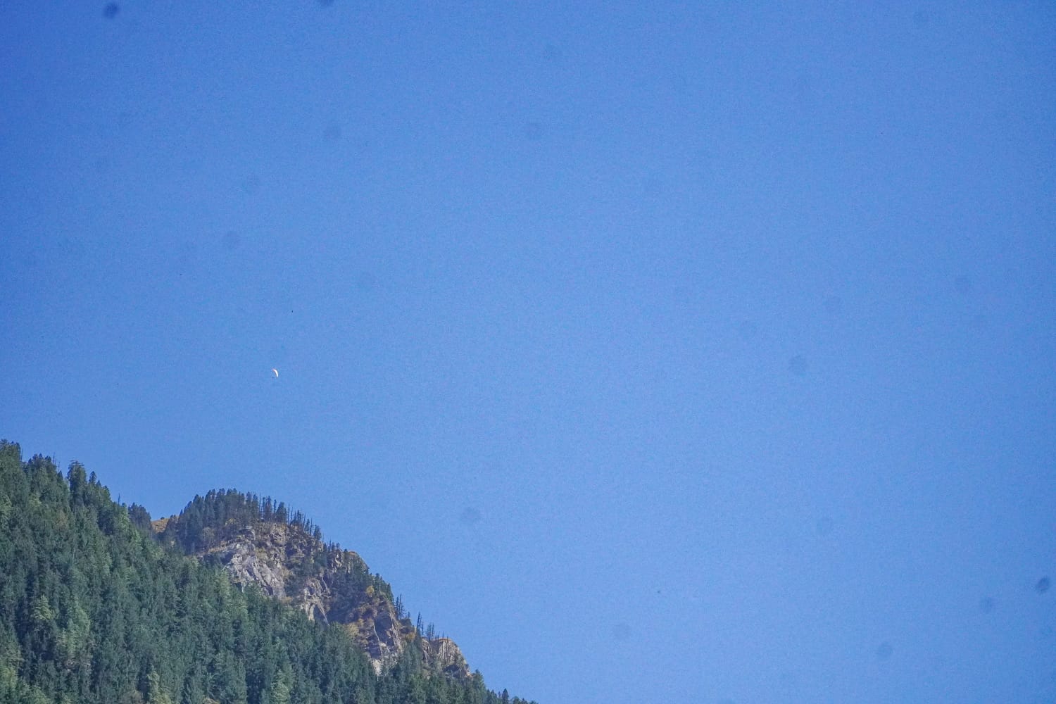 IMG-20241129-WA0001.jpg